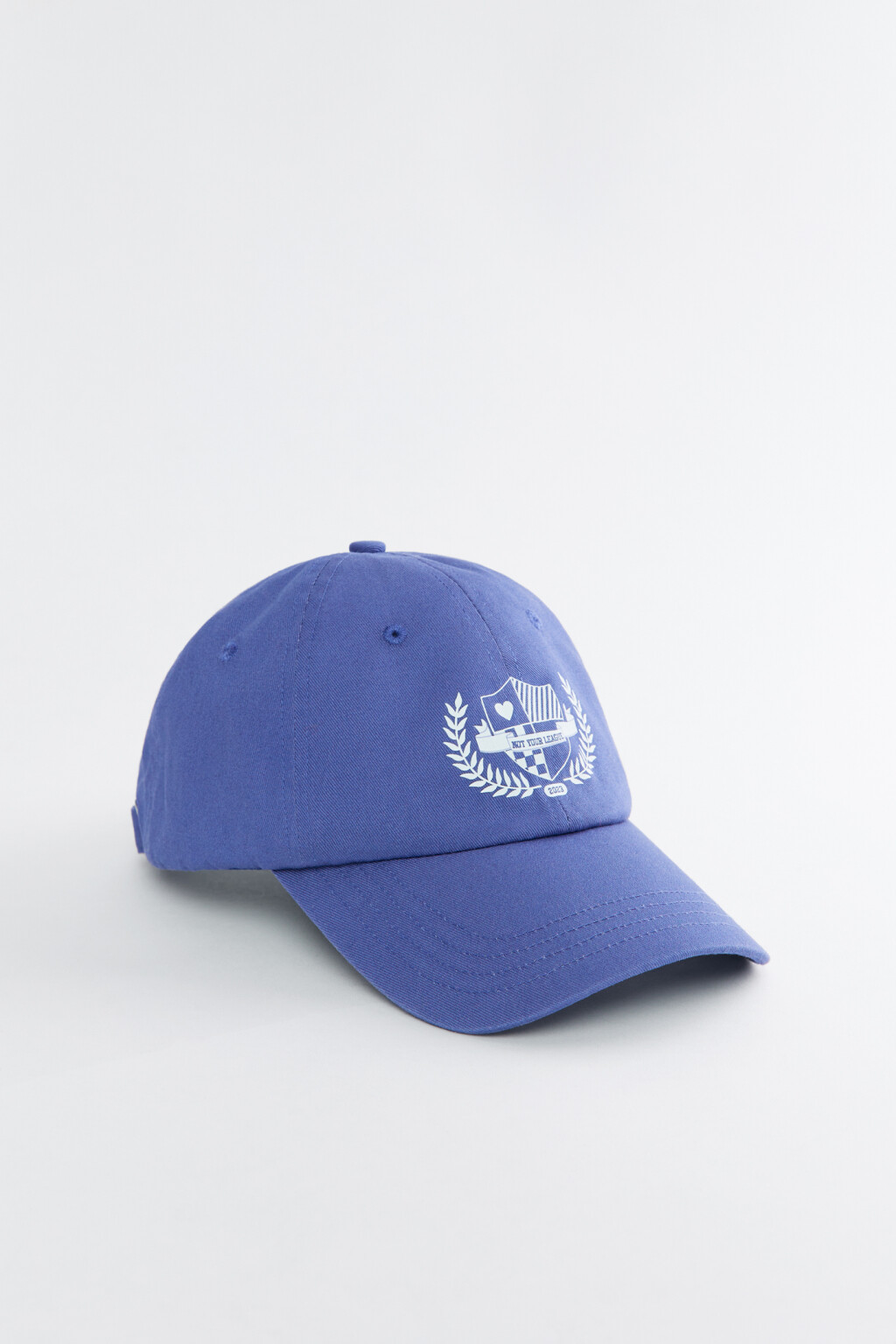 Бейсболка хлопковая с принтом в университетском стиле - цвет синий - 1