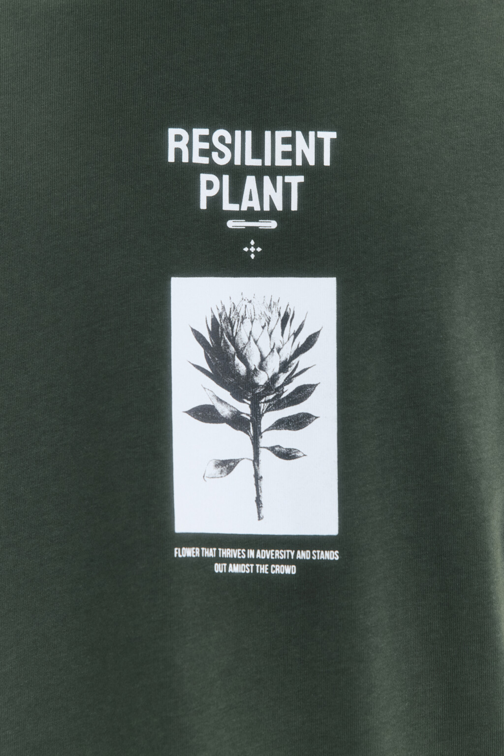 Футболка прямая хлопковая с принтом - цвет зеленый - 6