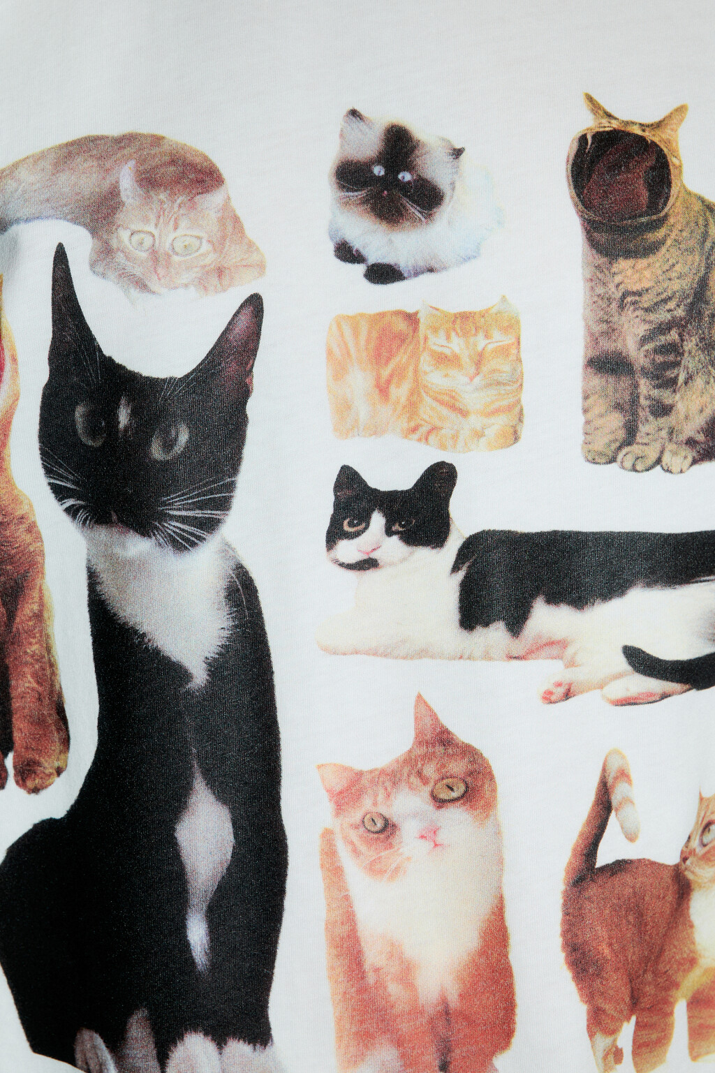 Футболка хлопковая с принтом - цвет белый - 5