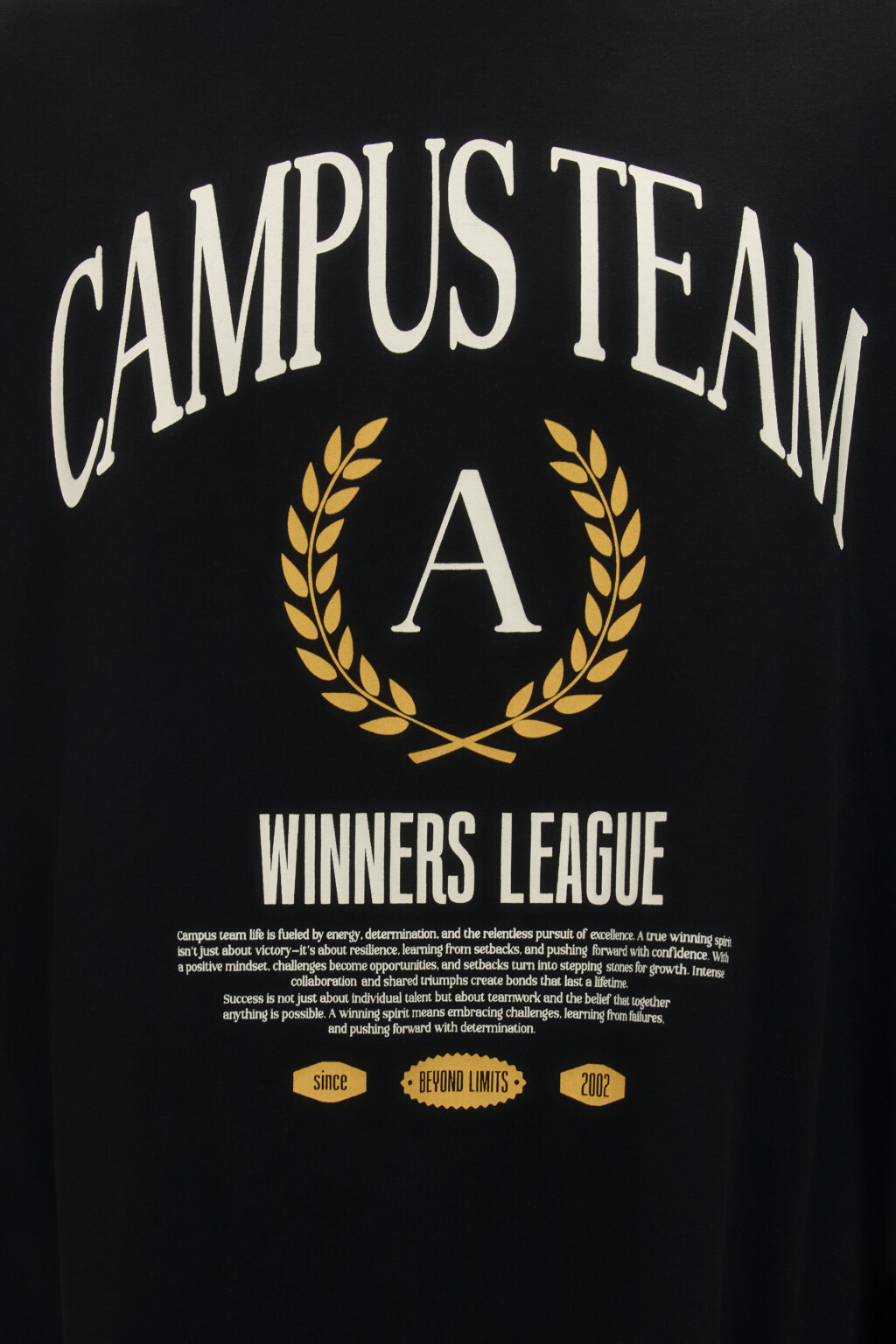 Футболка boxy fit с принтом - цвет черный - 5