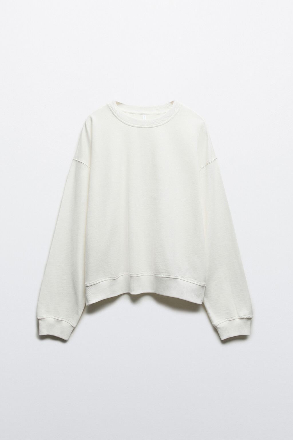 Свитшот базовый из хлопкового трикотажа - цвет молочный - 1