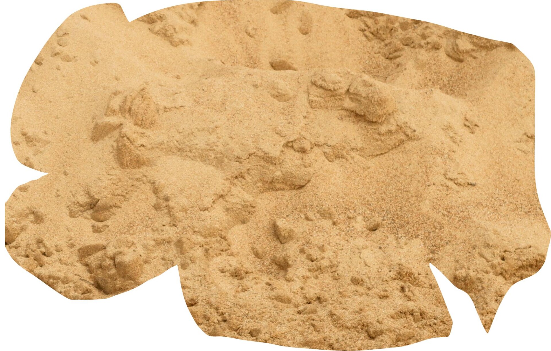 bodies of nature - CO:CREATE 1