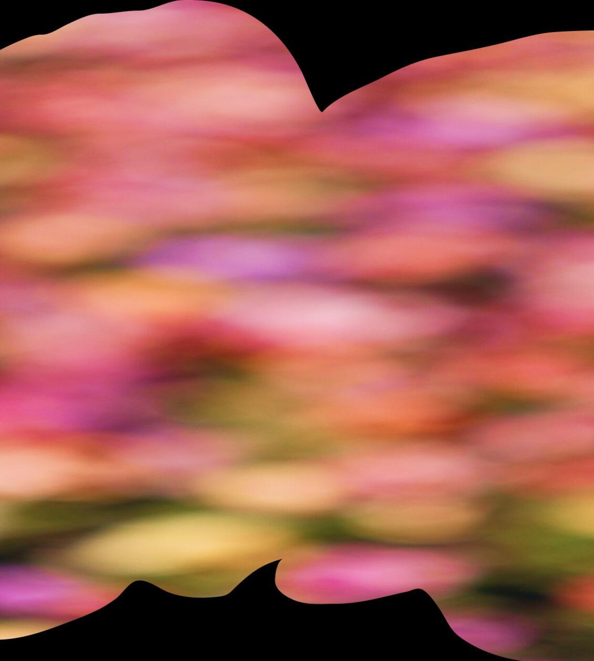 bodies of nature - CO:CREATE