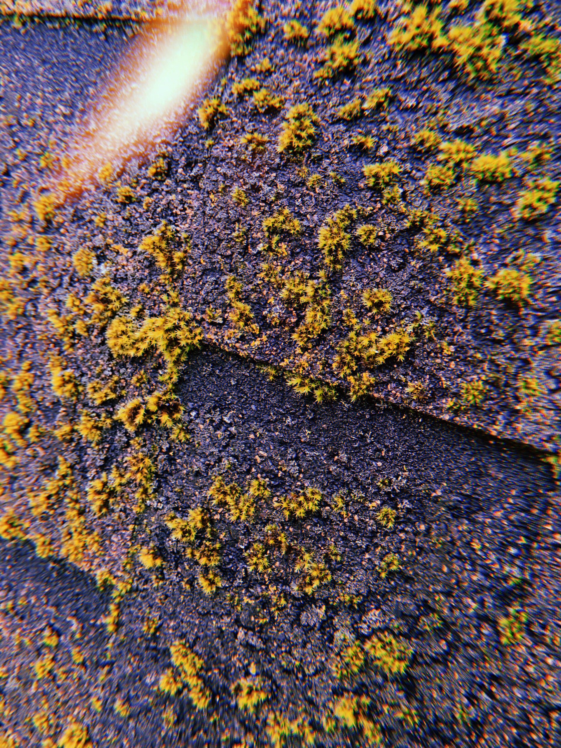 Ключевая вода - CO:CREATE 3