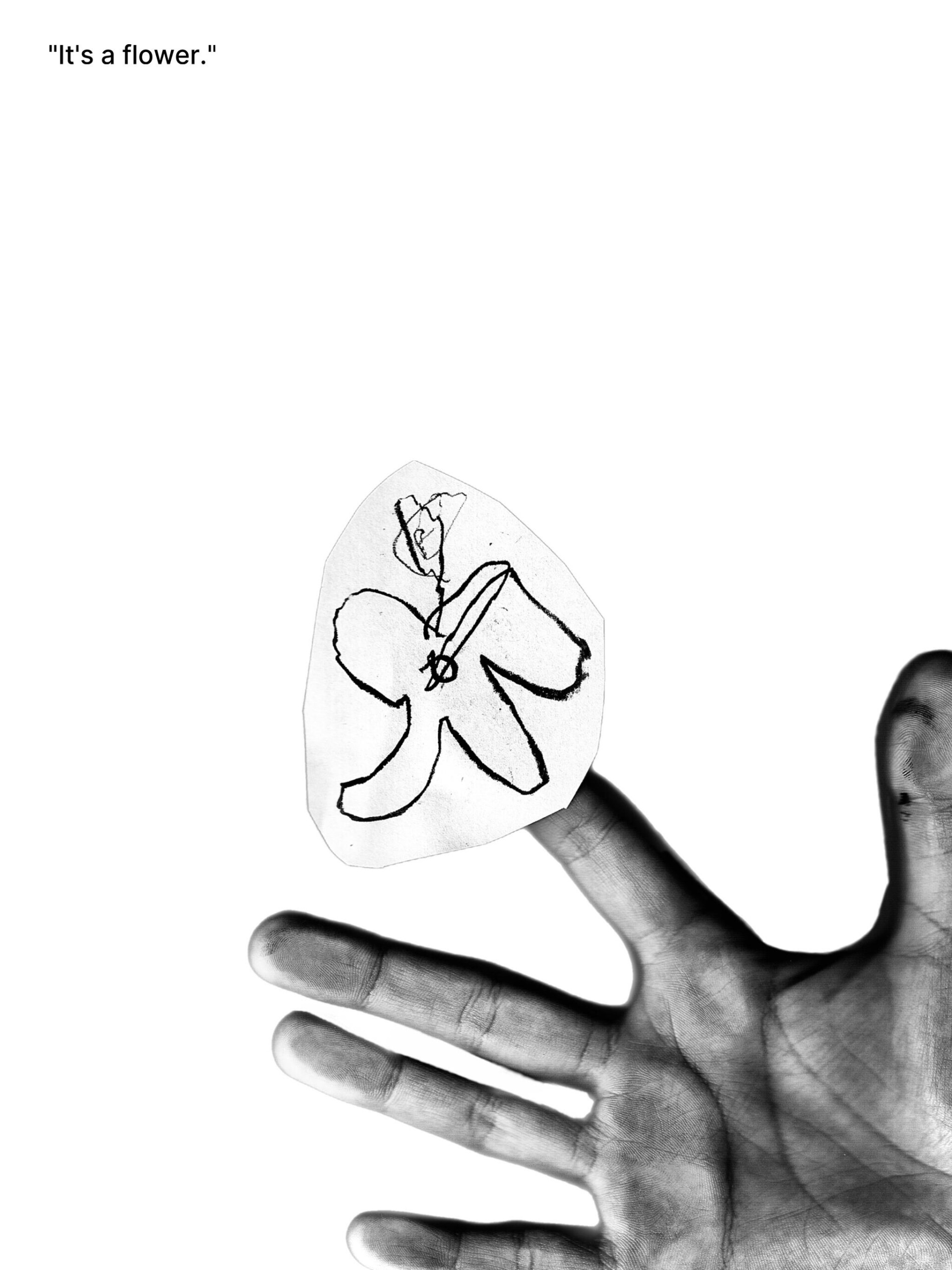"It's a flower." - CO:CREATE 1