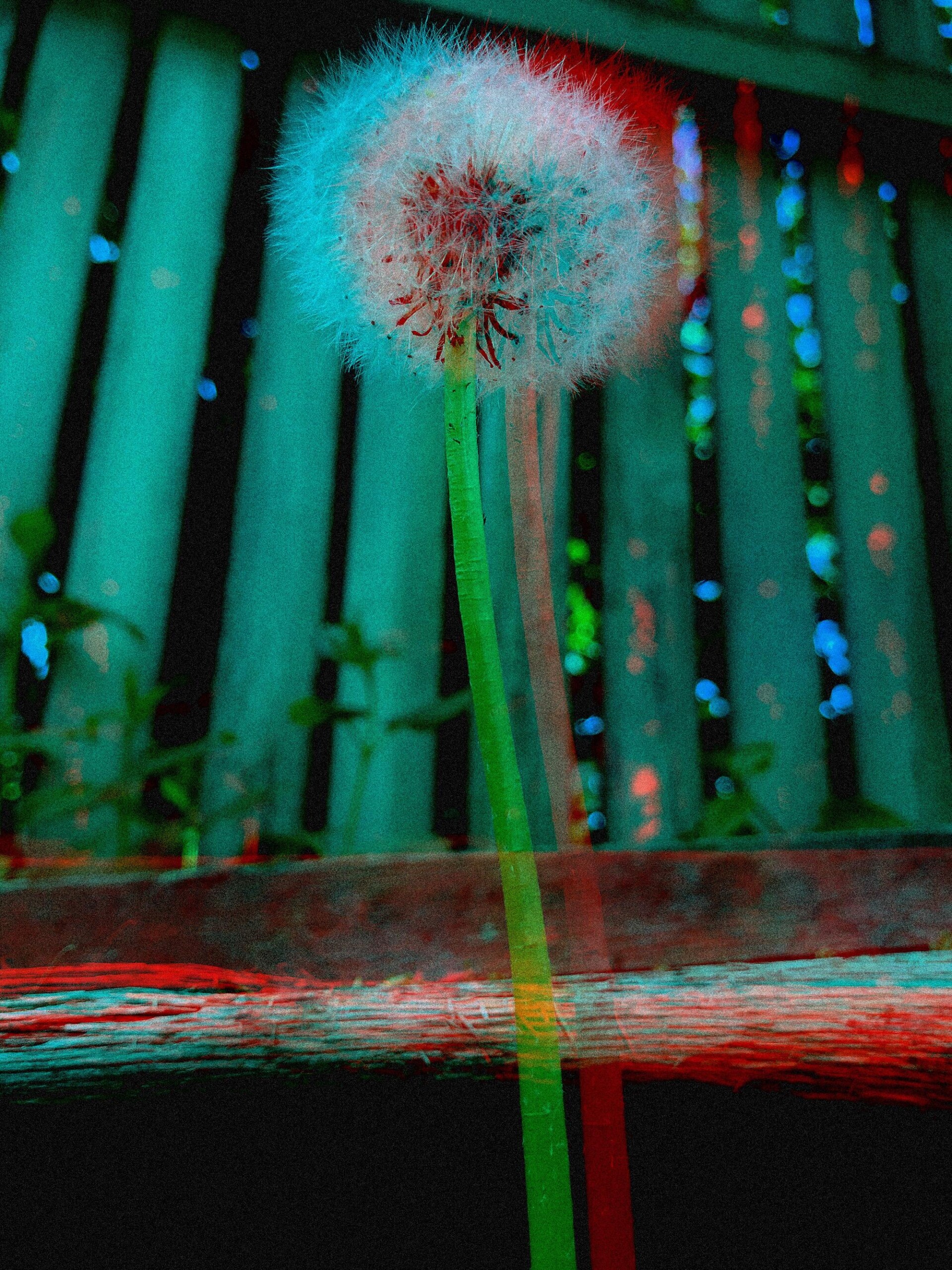 Фото - CO:CREATE 6