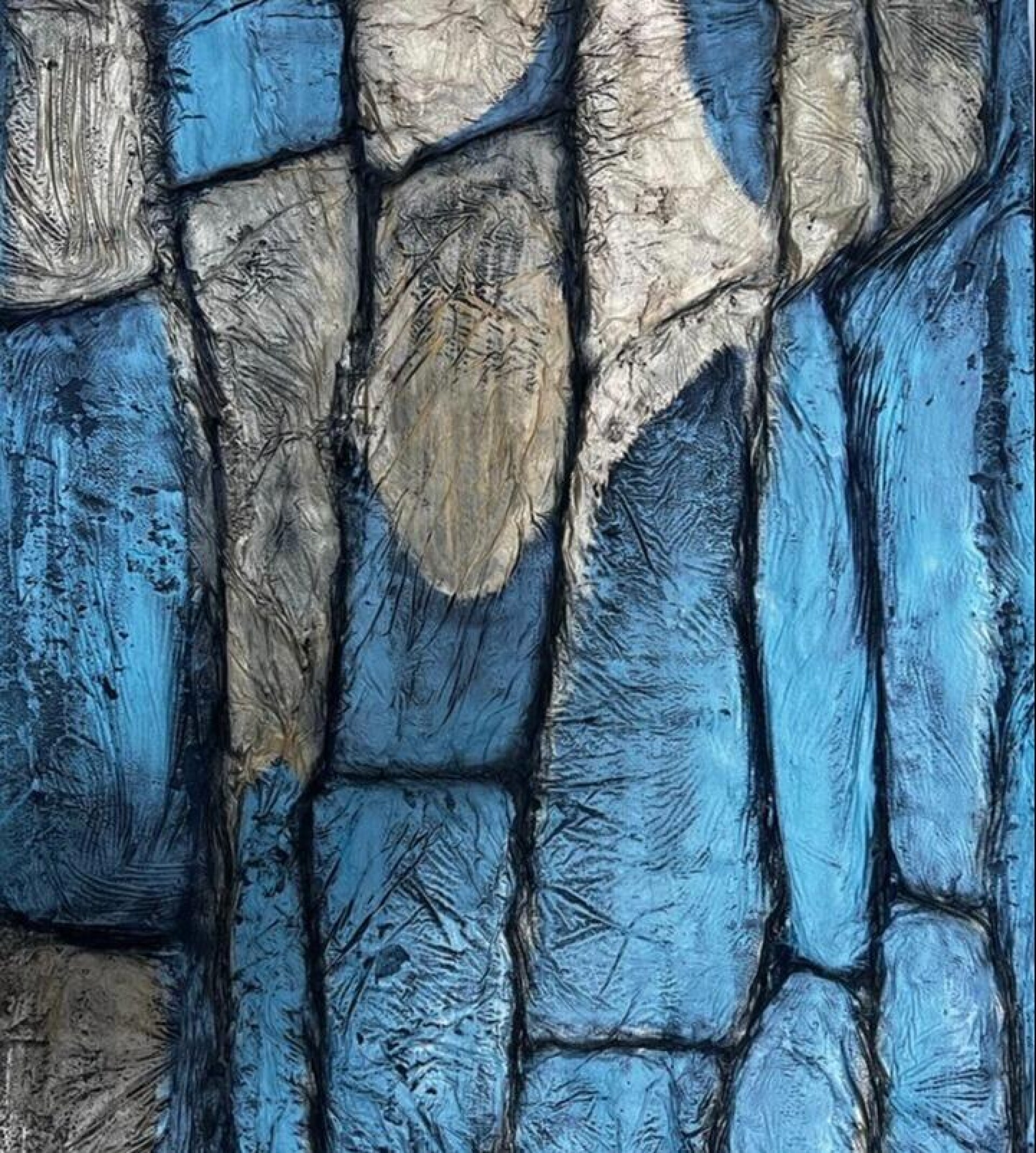 Клетки. Версия 1 - CO:CREATE