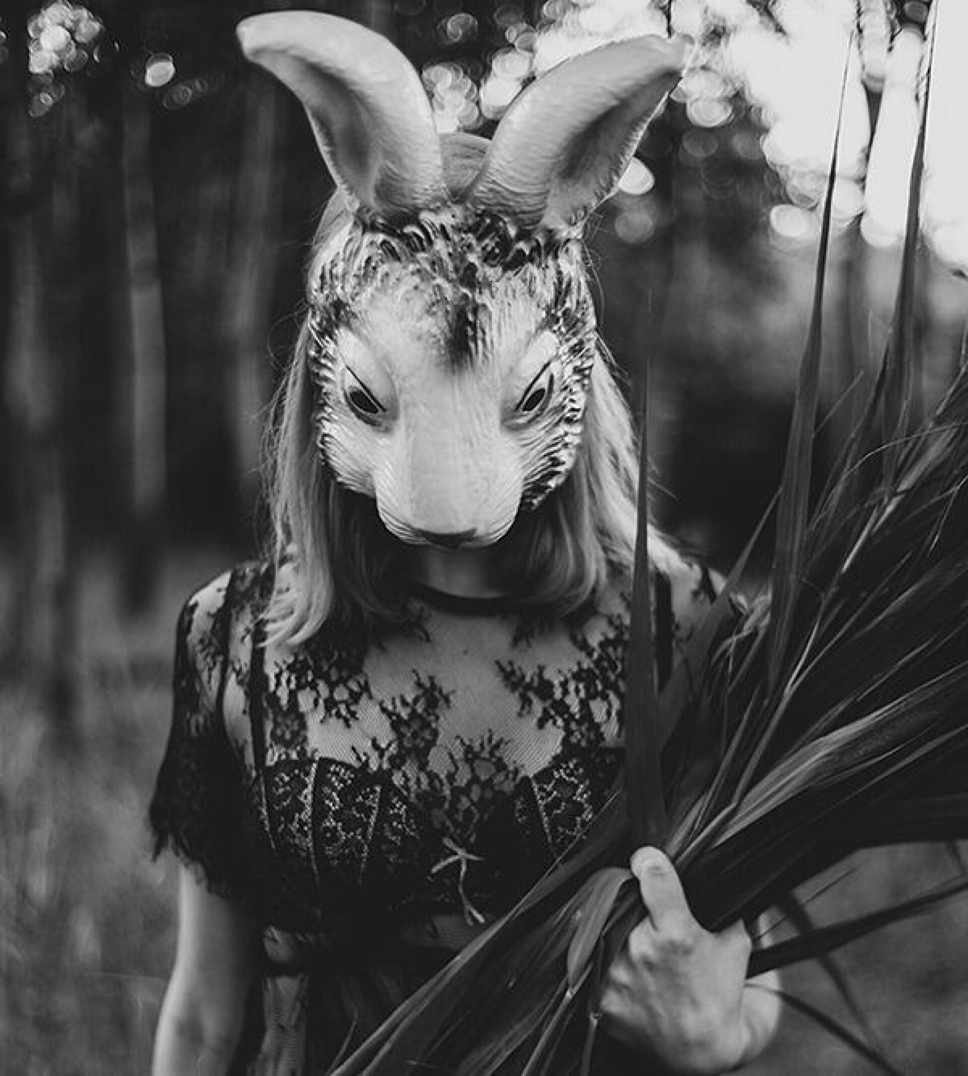 Wild Innocence - CO:CREATE
