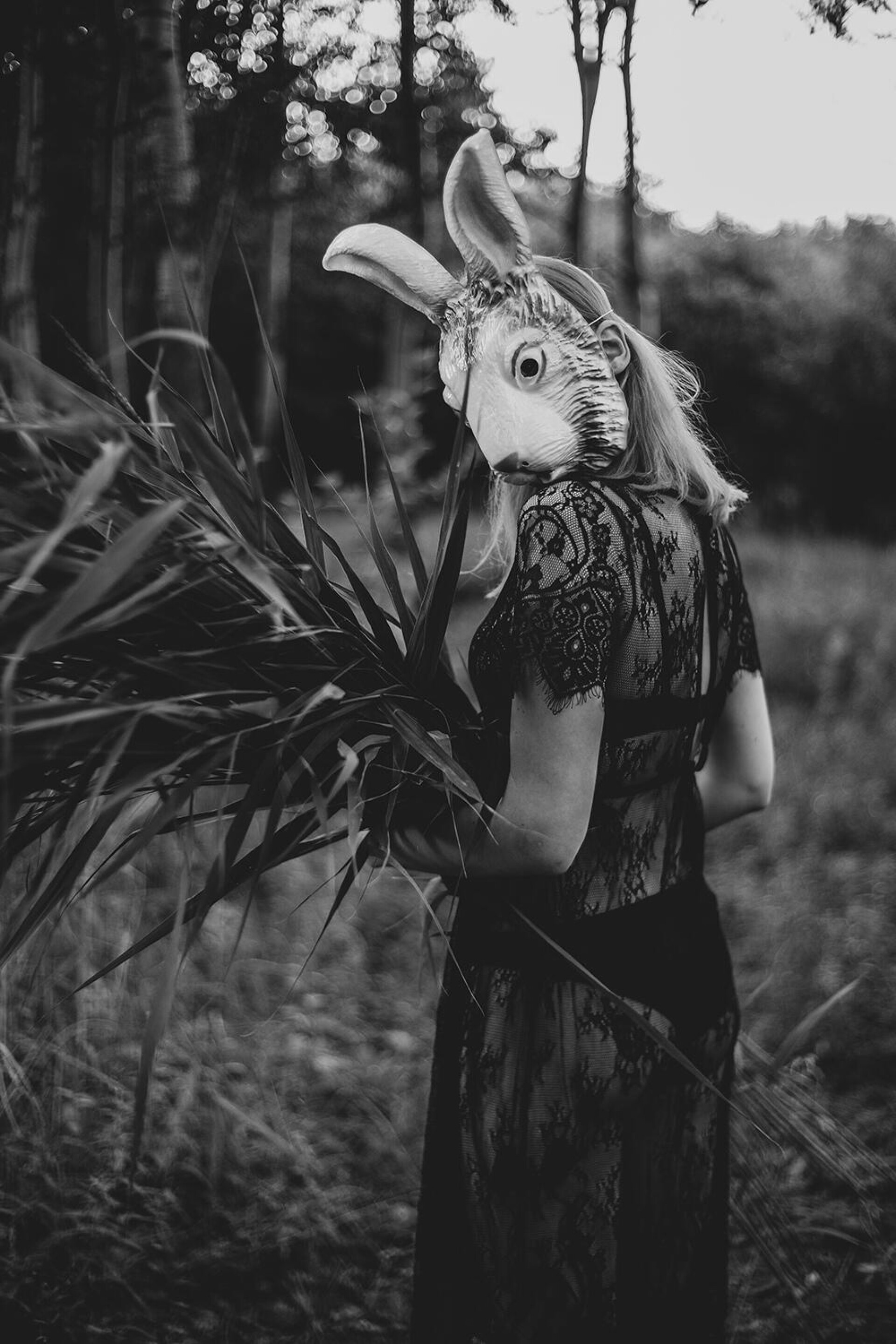 Wild Innocence - CO:CREATE 1