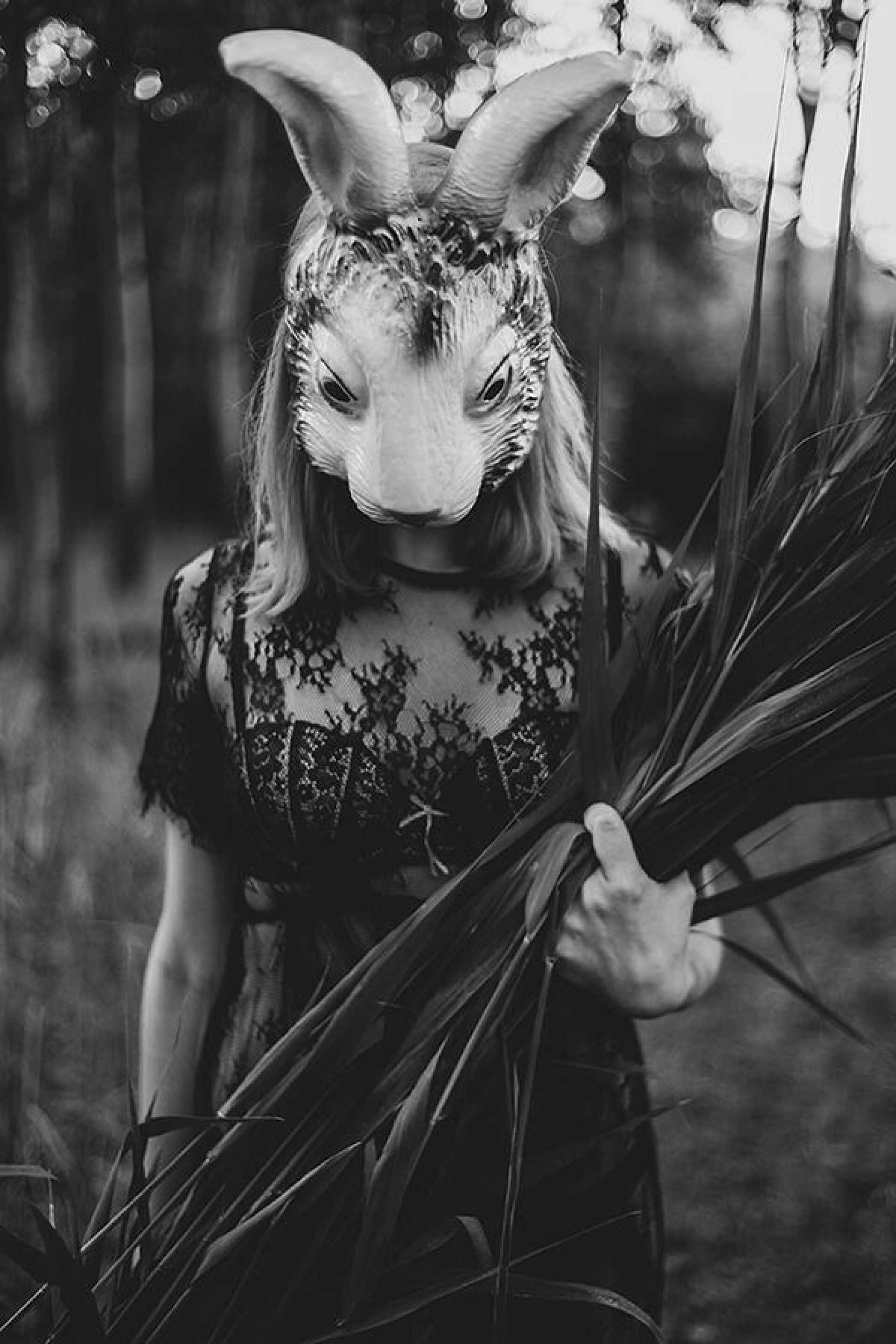 Wild Innocence - CO:CREATE 2