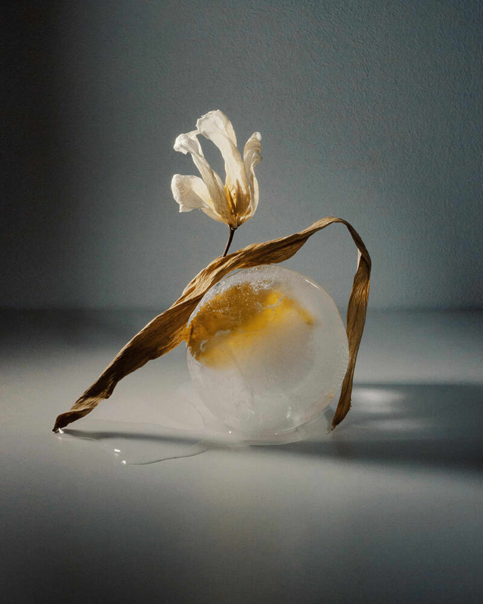 floral - CO:CREATE 1