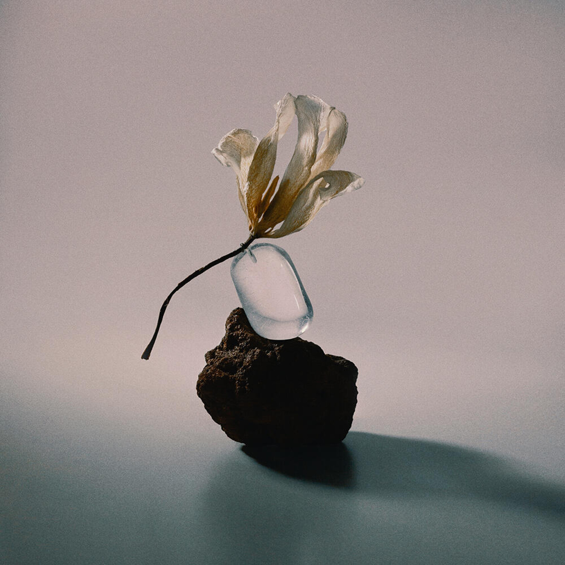floral - CO:CREATE 2