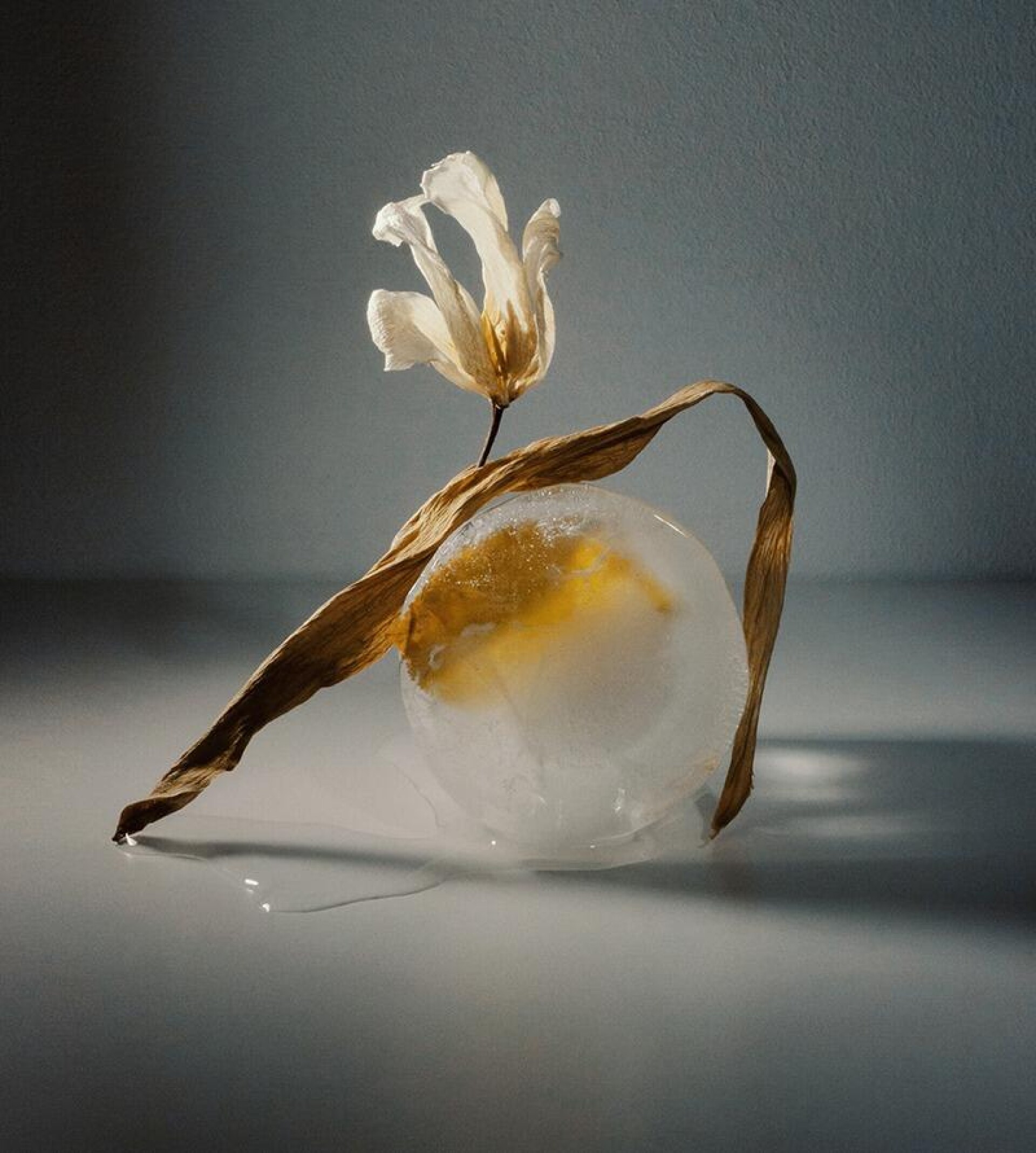 floral - CO:CREATE