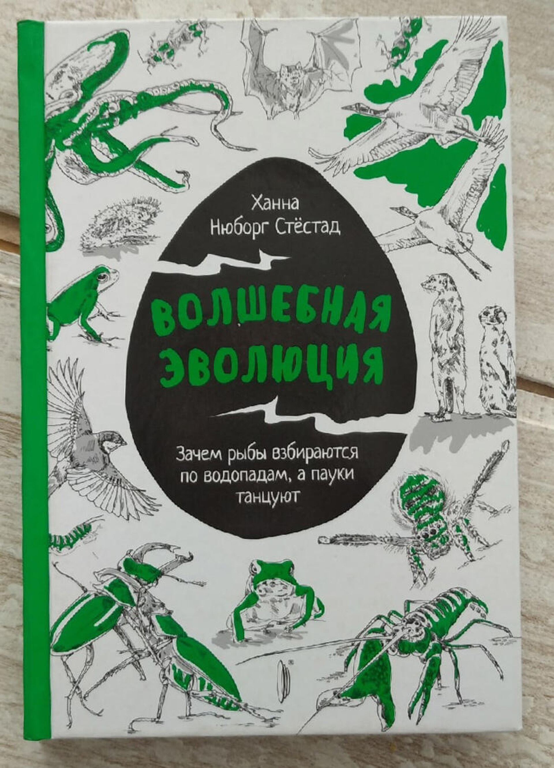 Иллюстрации к книгам - CO:CREATE 1