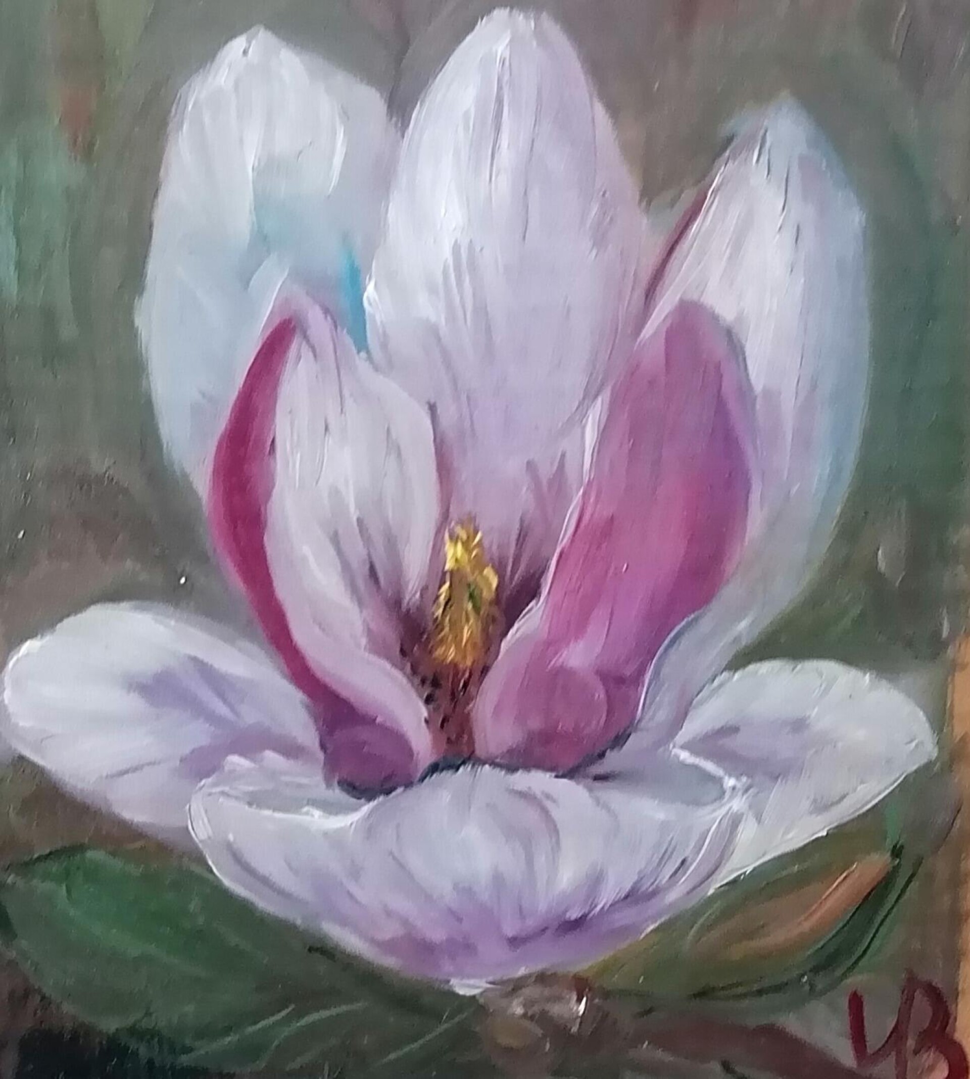 Магнолия - CO:CREATE