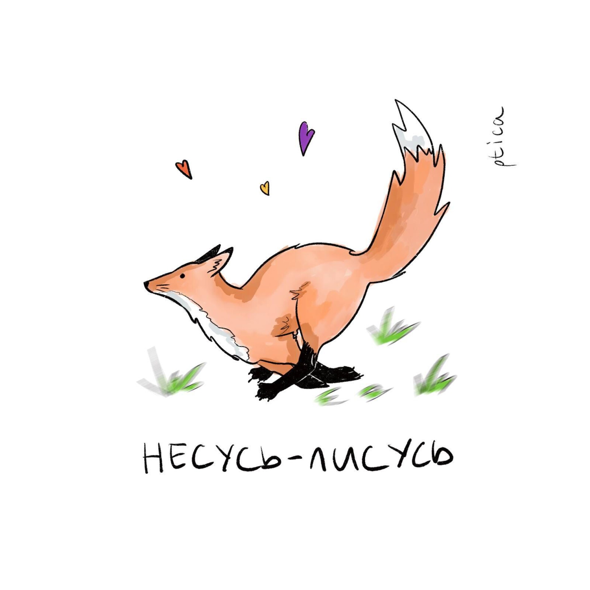 несусь-лисусь - CO:CREATE 1