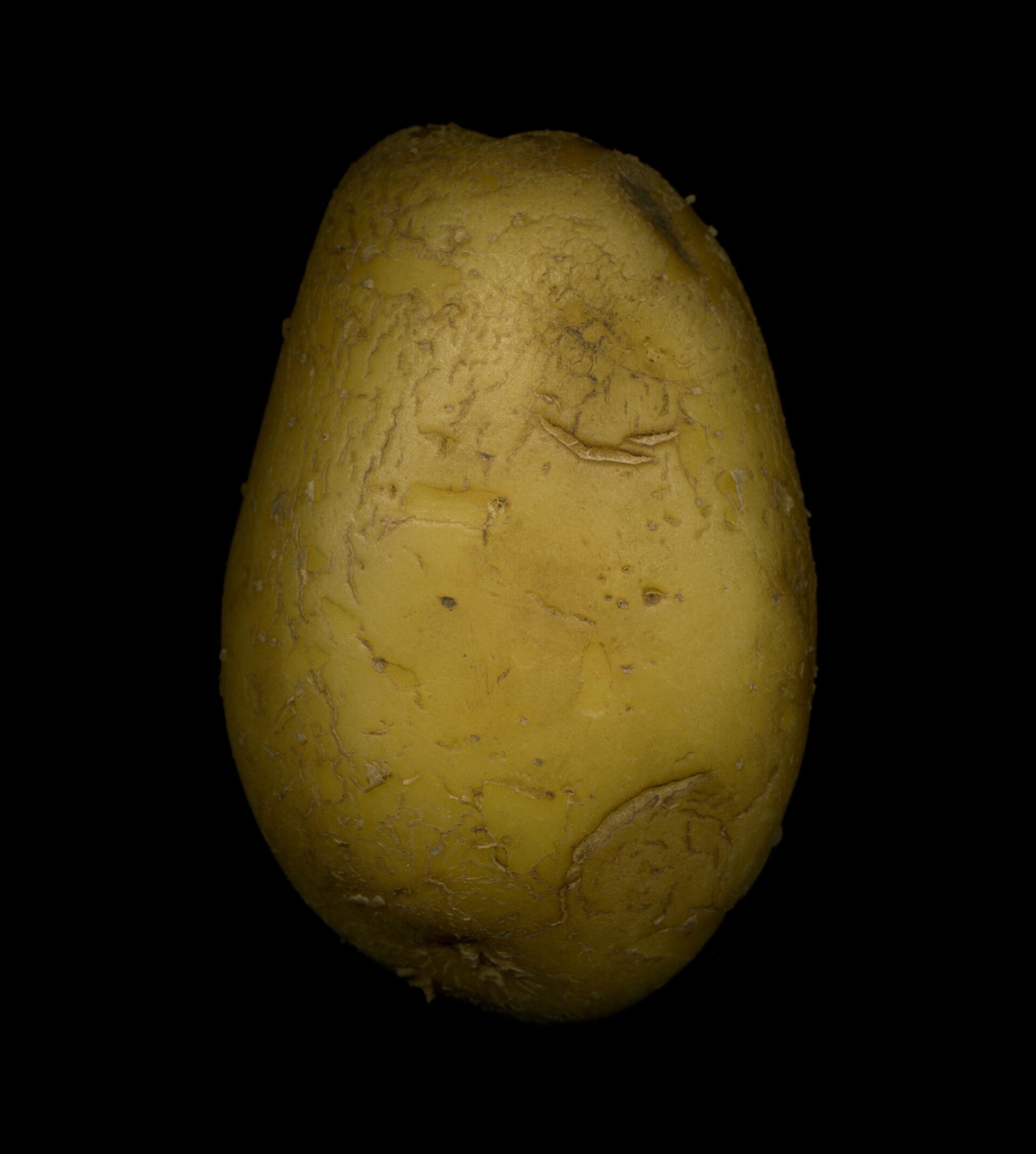 .6 / Potato No.1 - CO:CREATE