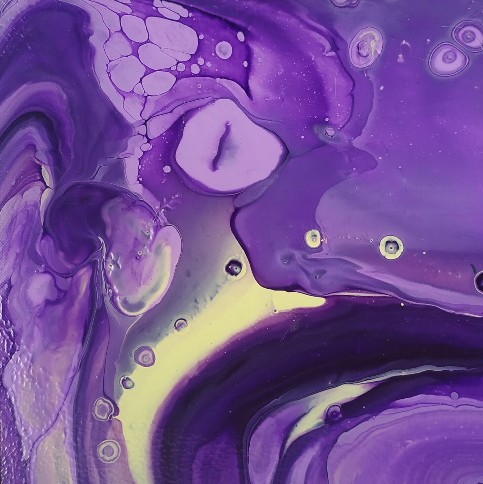 Фиолетовый дракон - CO:CREATE 1