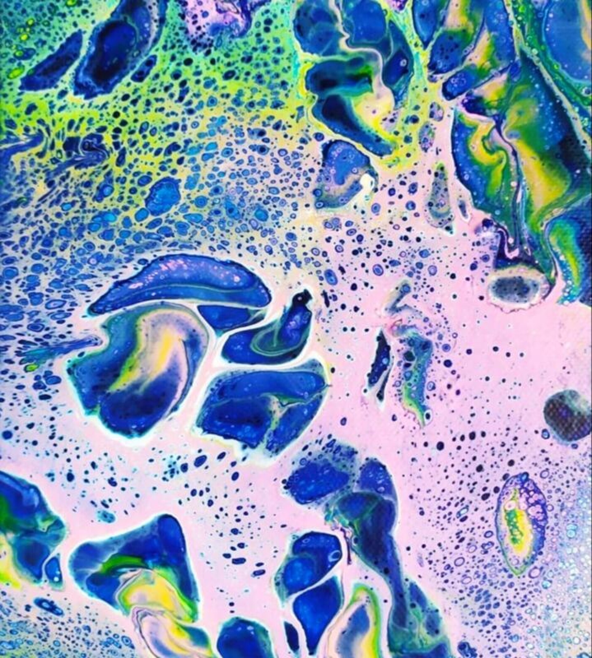 Коралловый риф - CO:CREATE