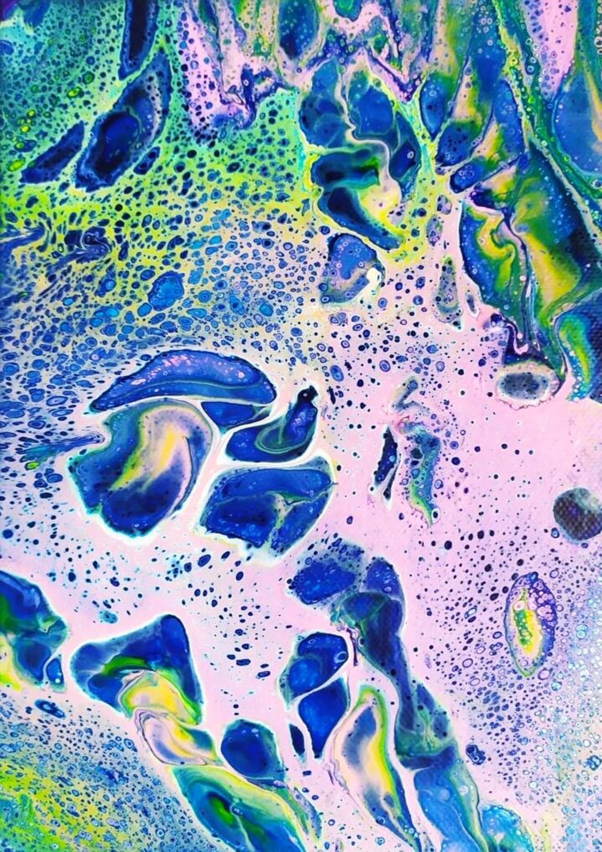 Коралловый риф - CO:CREATE 1