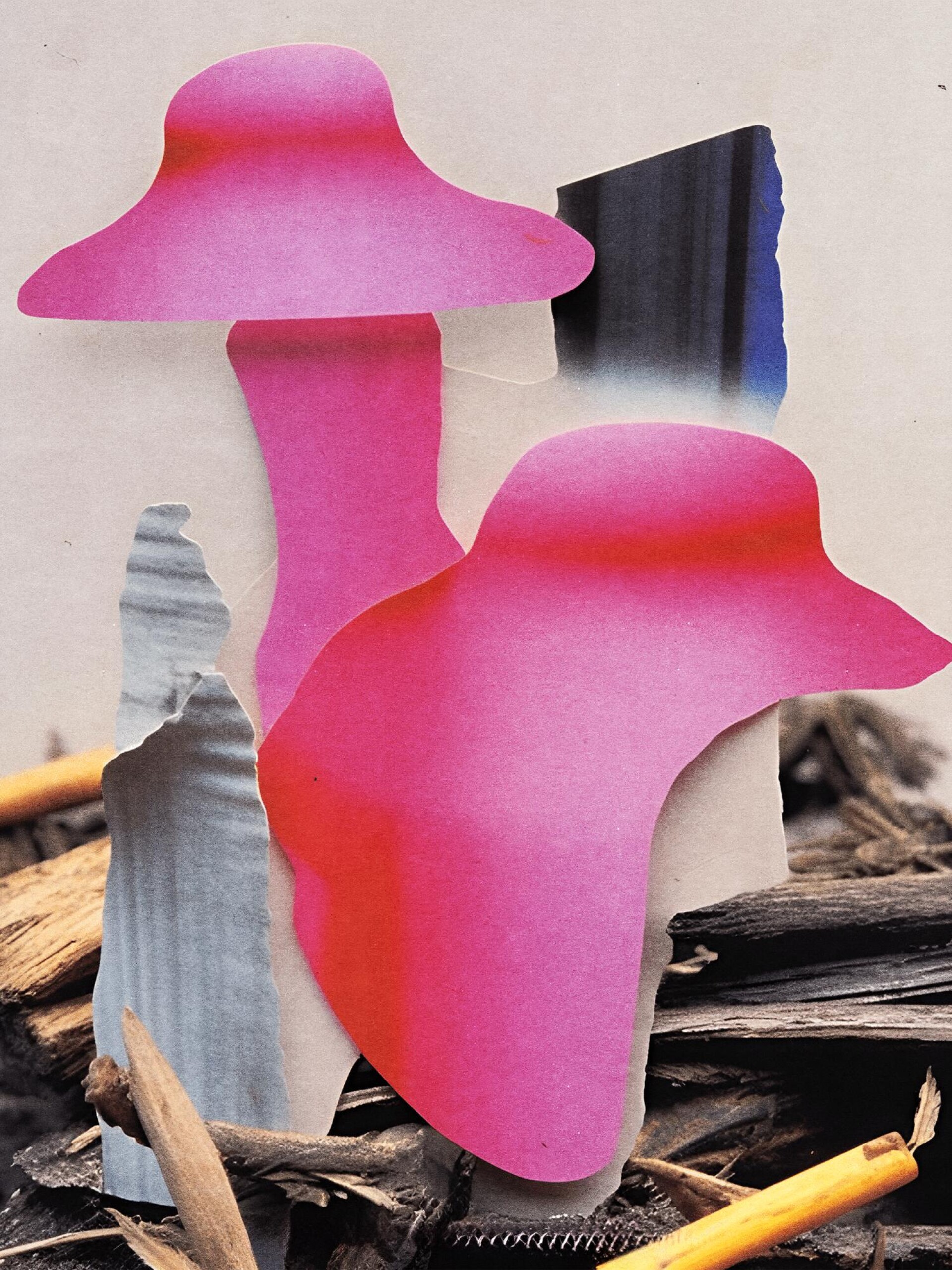 Collage and Mushrooms - CO:CREATE 7