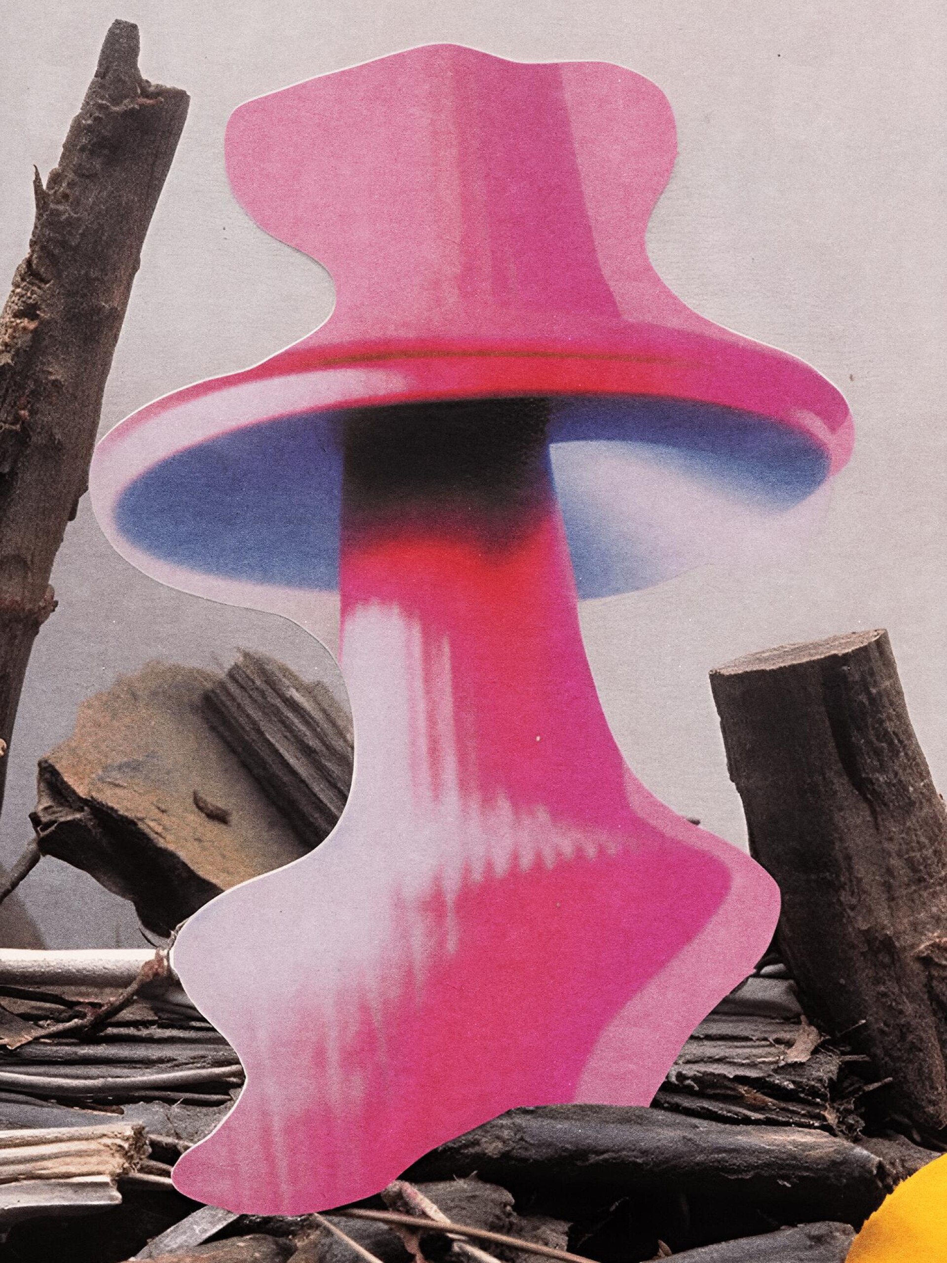 Collage and Mushrooms - CO:CREATE 6