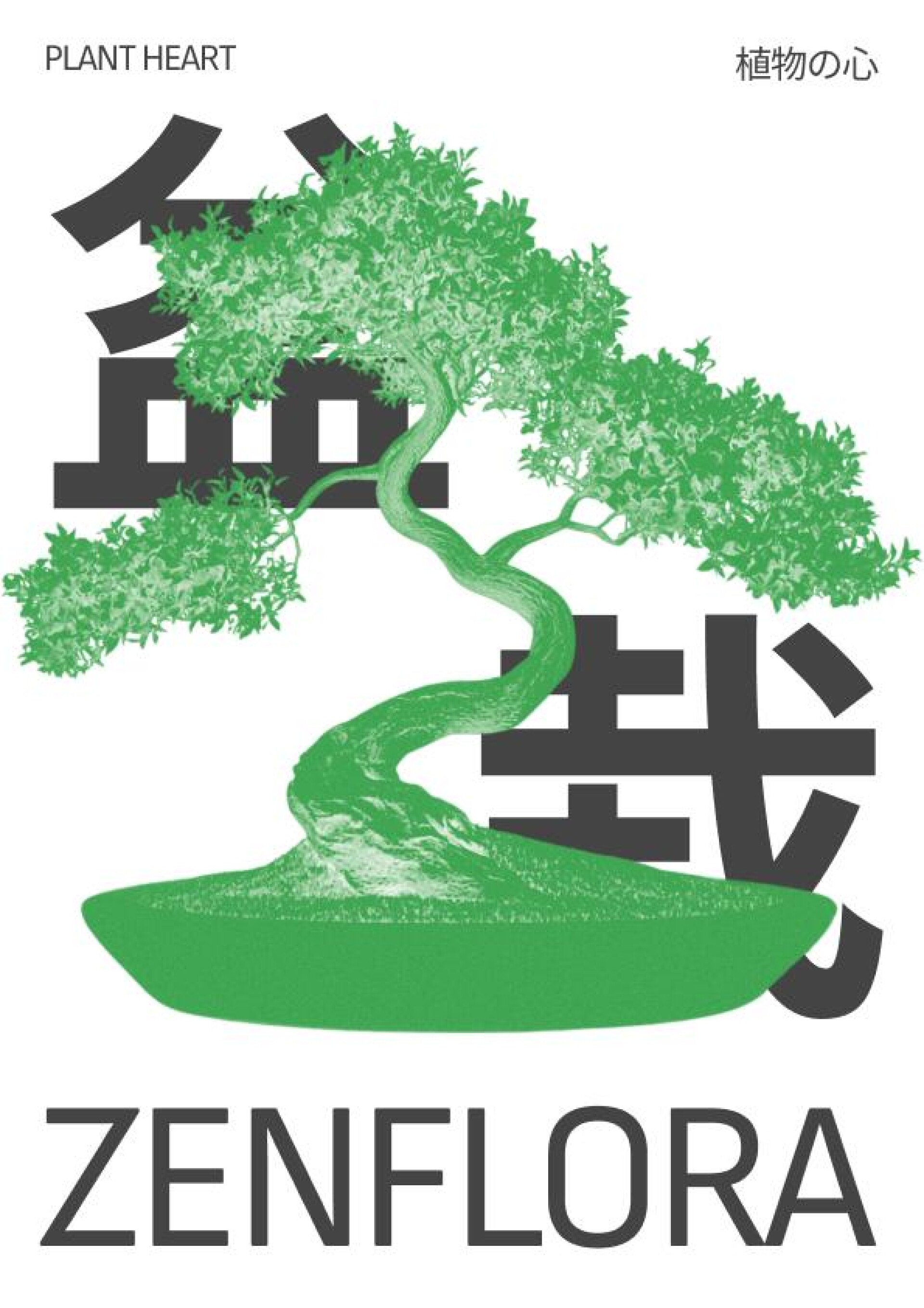 ZENFLORA - CO:CREATE 7