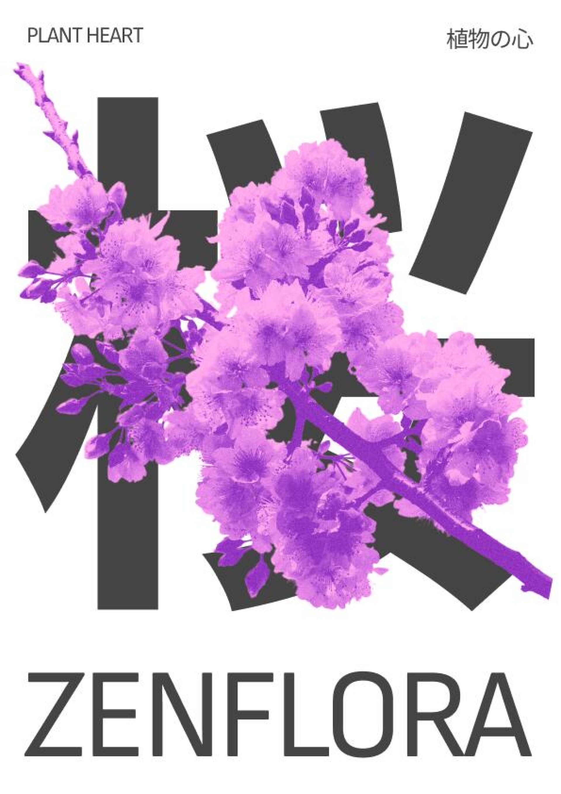 ZENFLORA - CO:CREATE 9