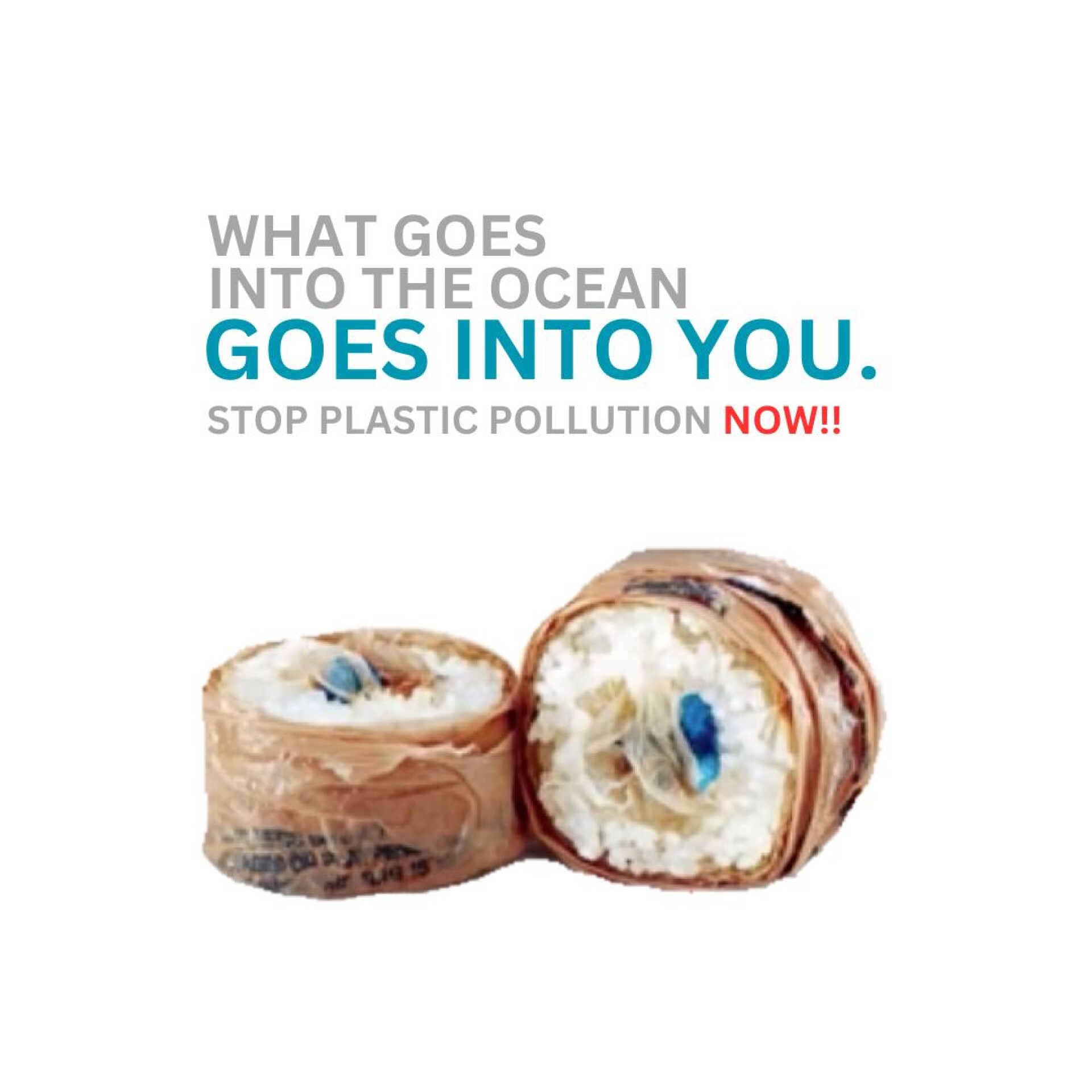 Plastic Pollution - CO:CREATE