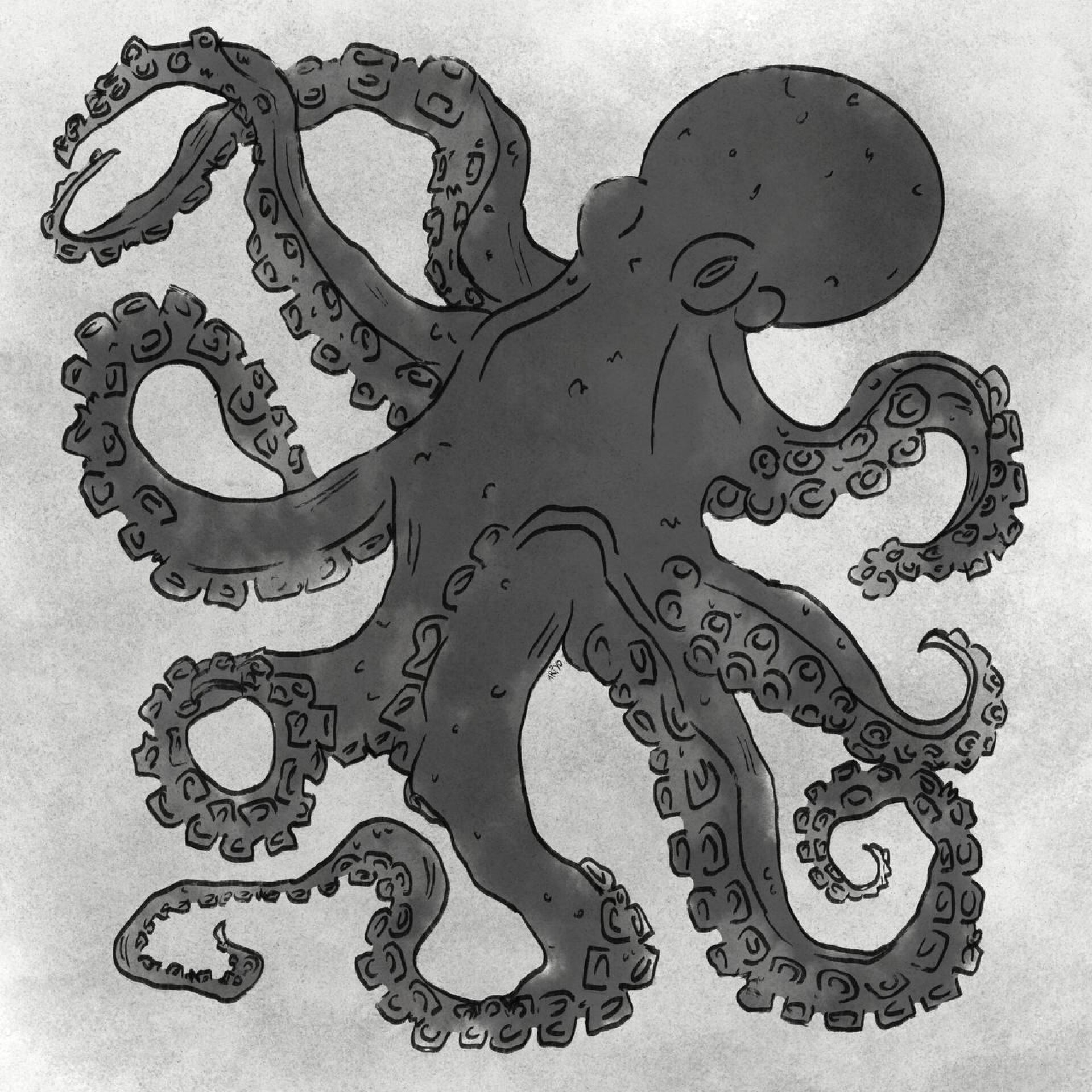 :OCTOPUS - CO:CREATE 1