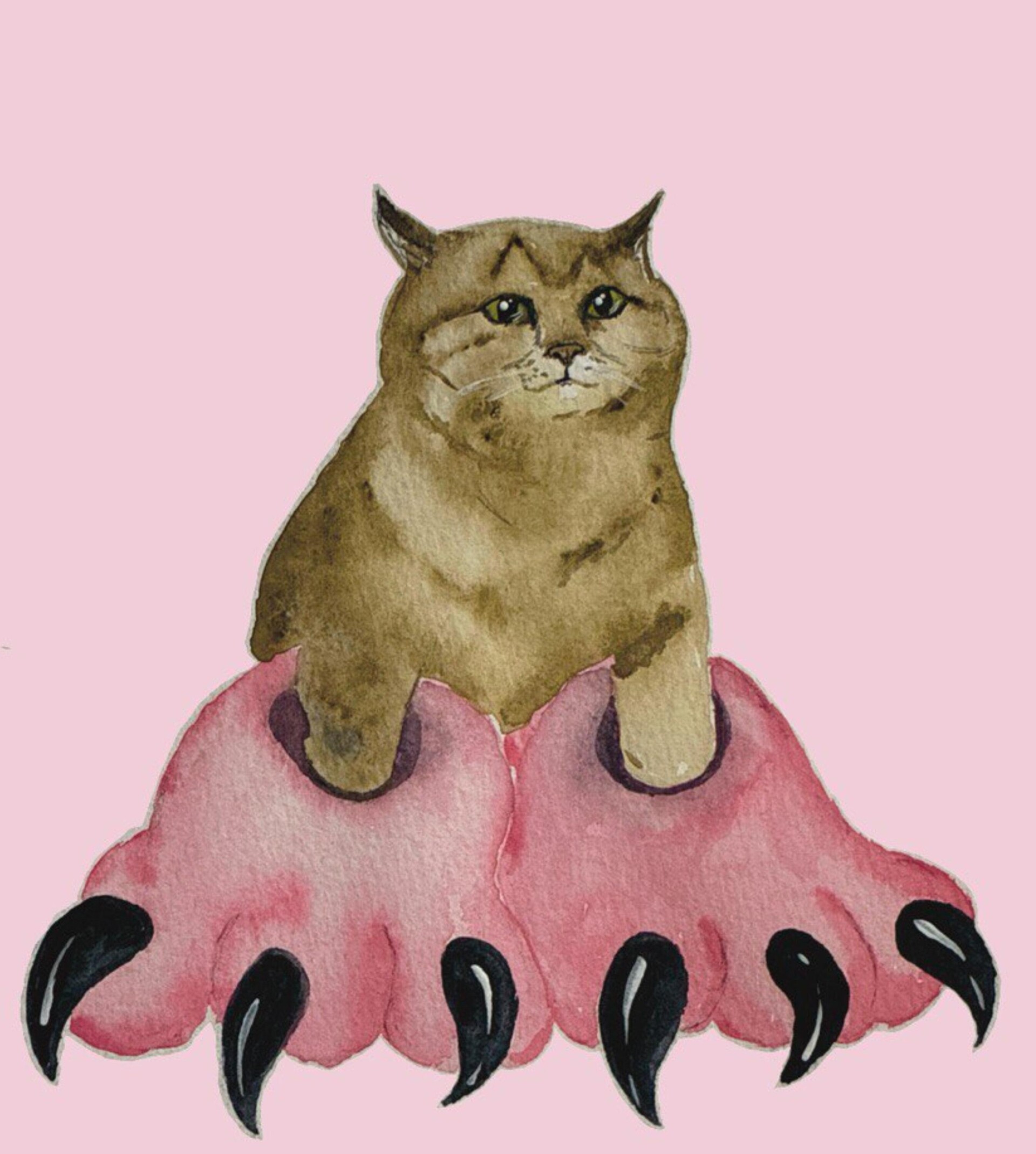 Котизм - CO:CREATE