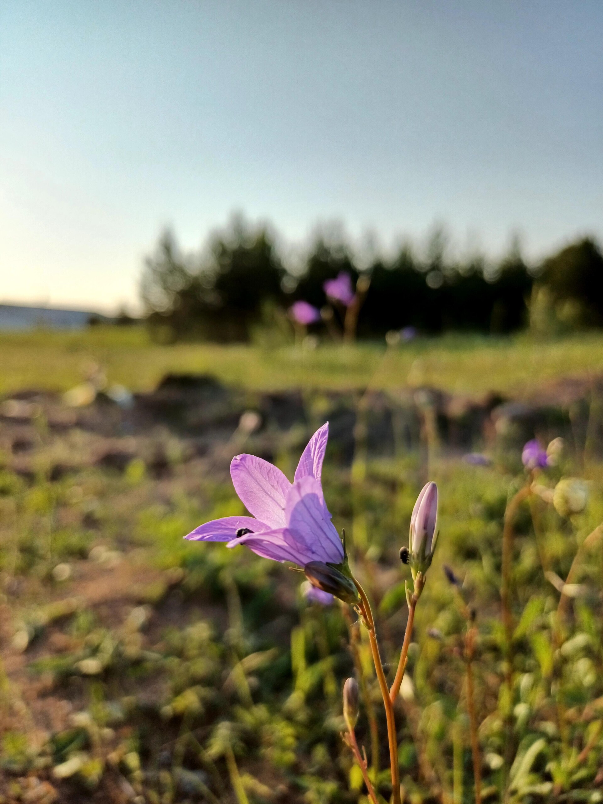 the immensity of nature - CO:CREATE 6