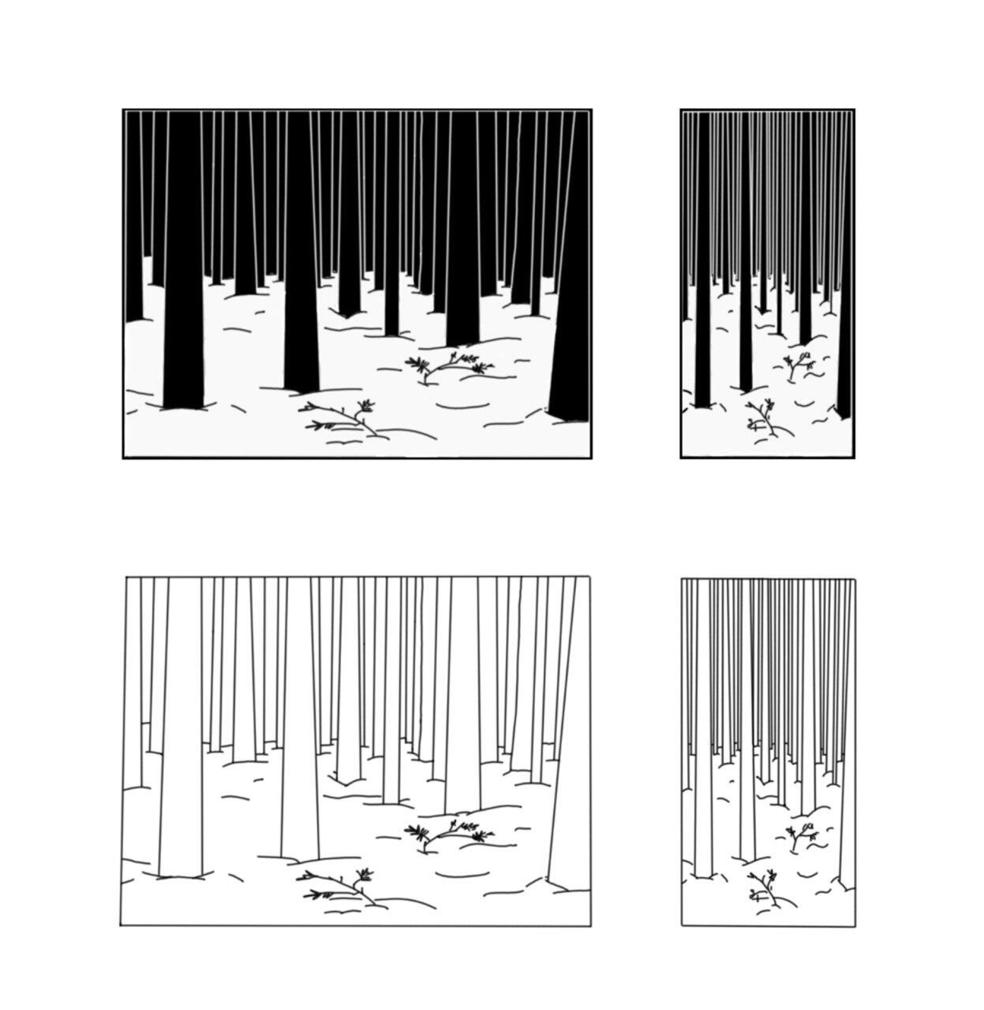 Лес, зима, Академгородок. Новосибирск - CO:CREATE 2