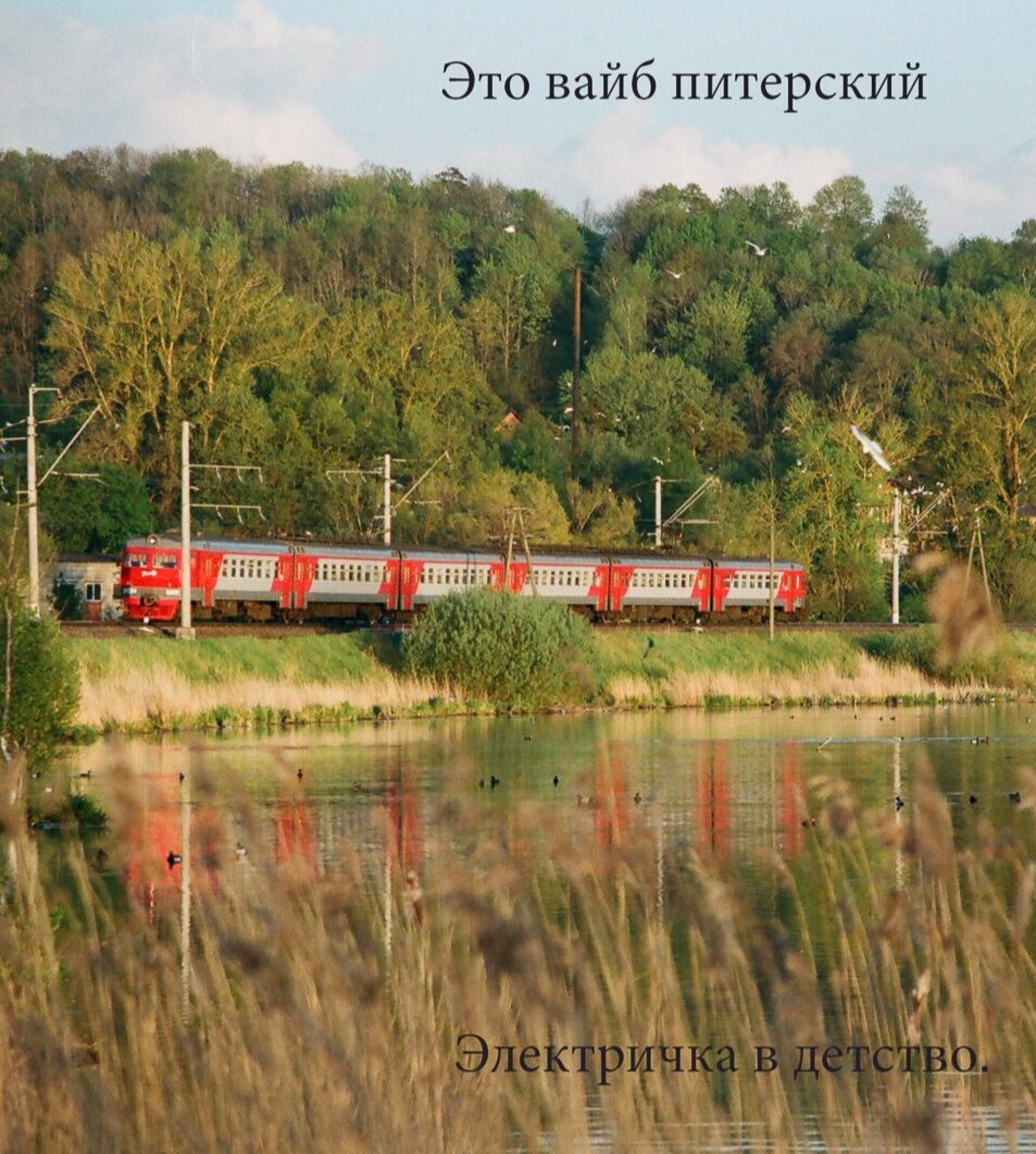 Это вайб питерский - CO:CREATE