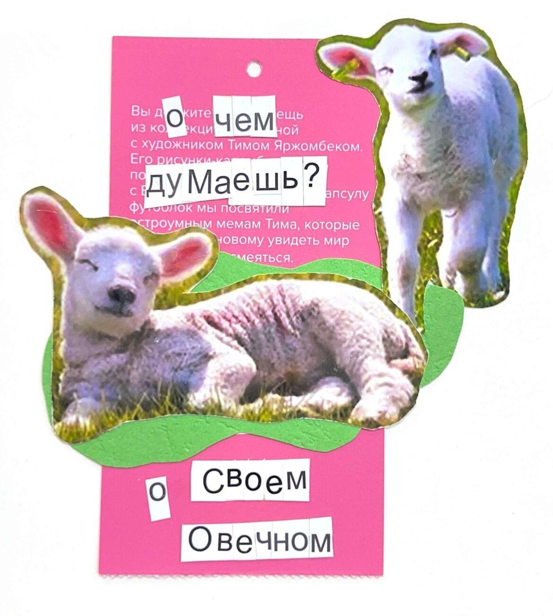 Овечном - CO:CREATE
