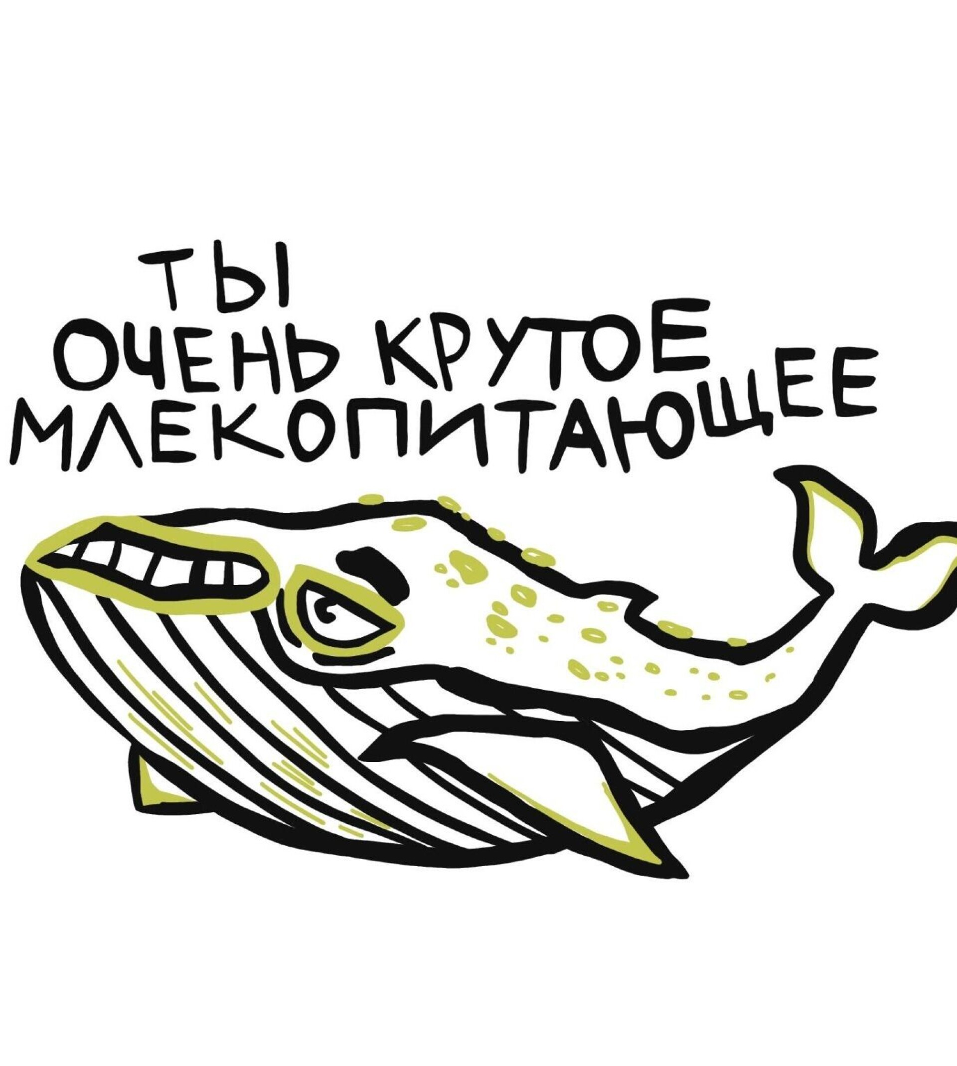 Очень крутое млекопитающее - CO:CREATE
