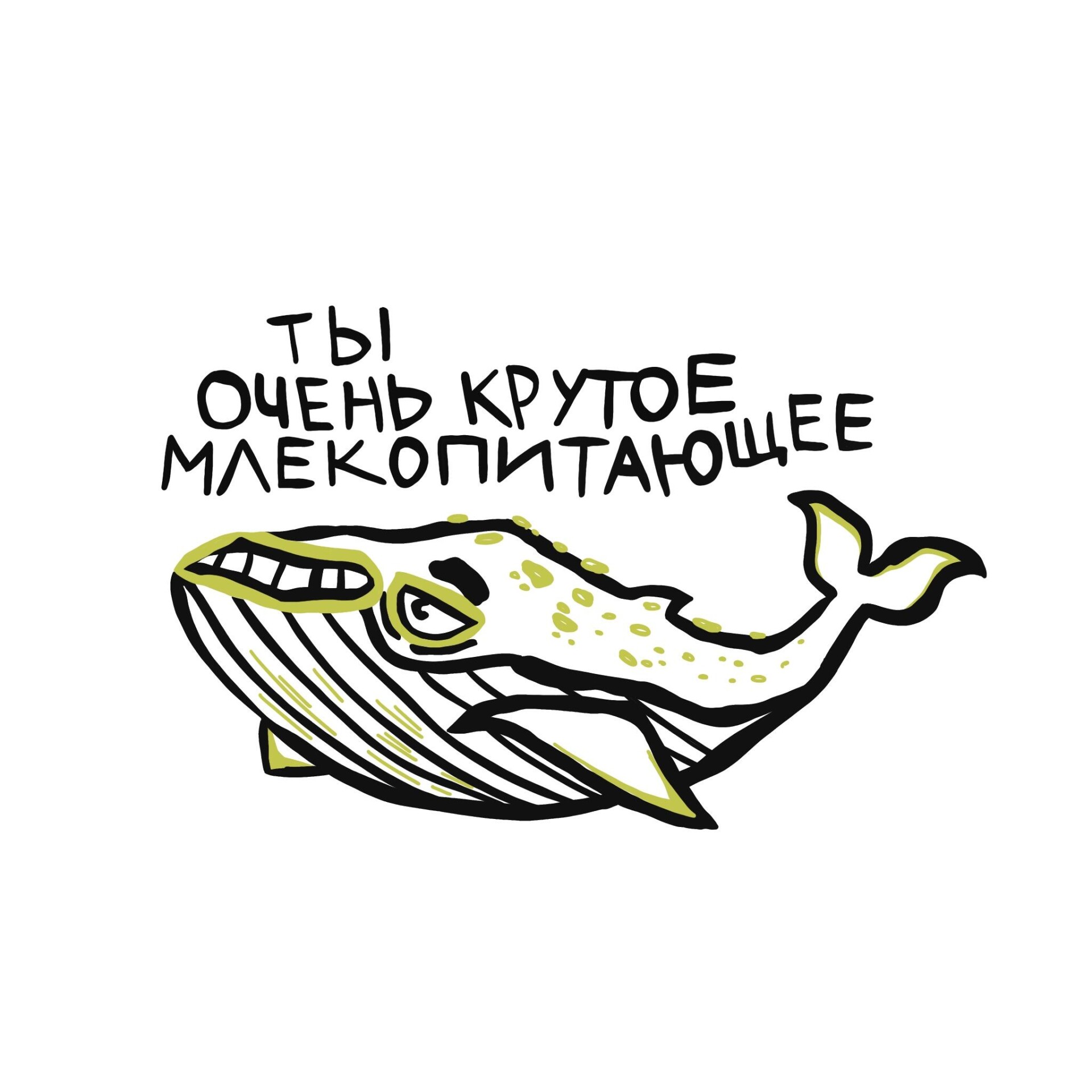 Очень крутое млекопитающее - CO:CREATE 1