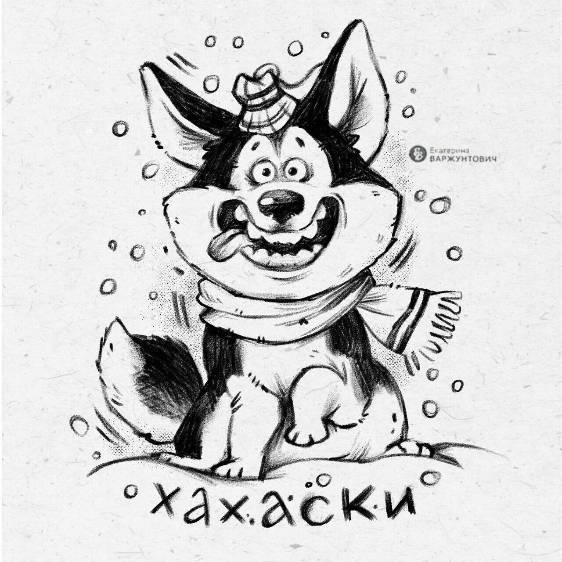 ХАхаски - CO:CREATE