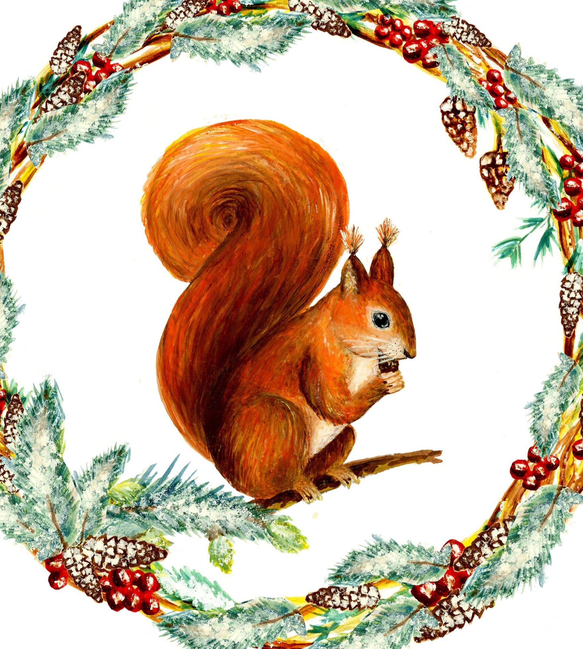 Белочка - CO:CREATE