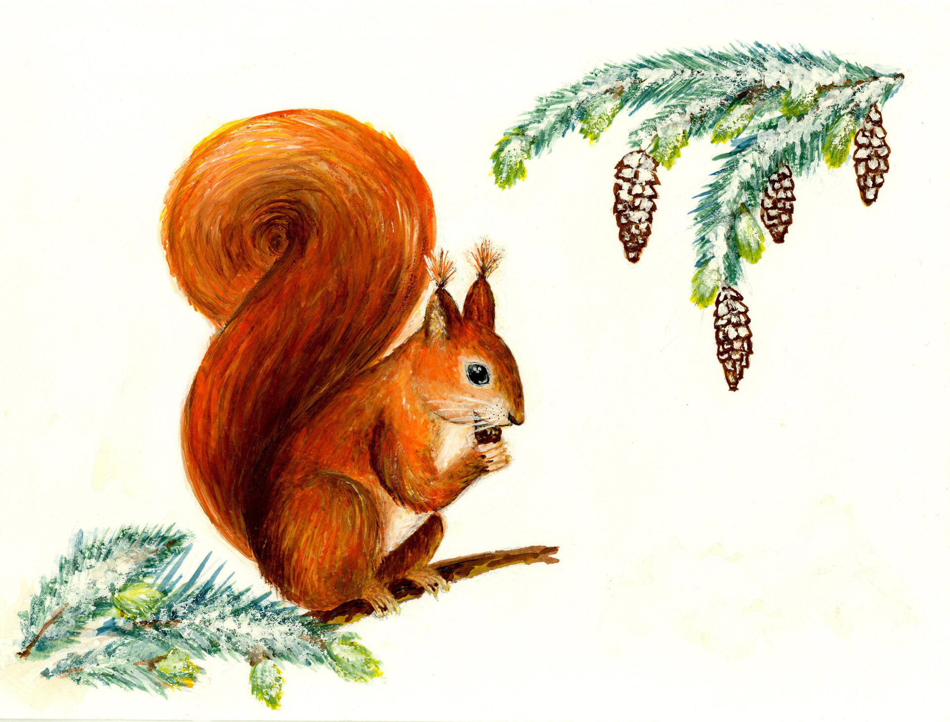 Белочка - CO:CREATE 2