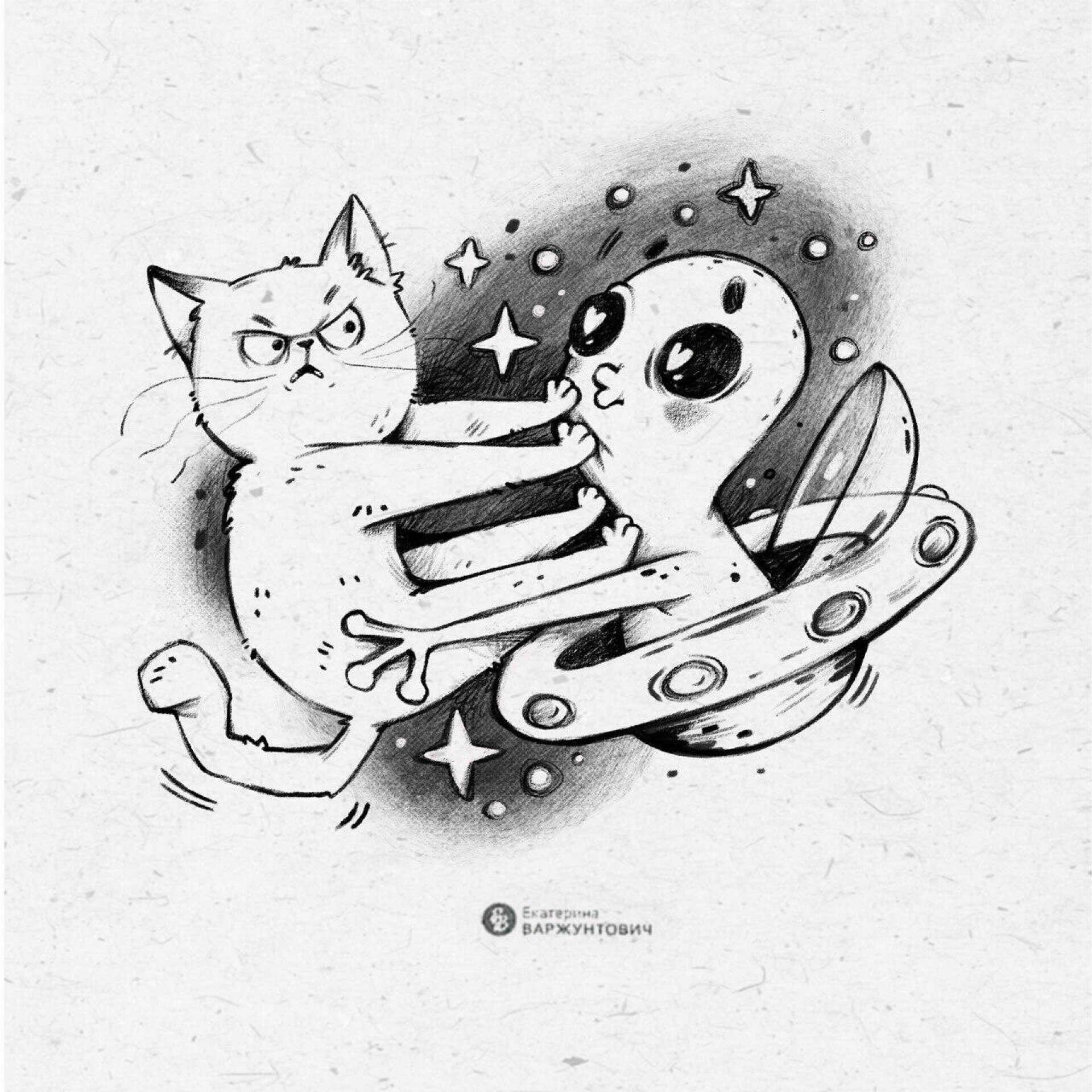 Котик - CO:CREATE 1