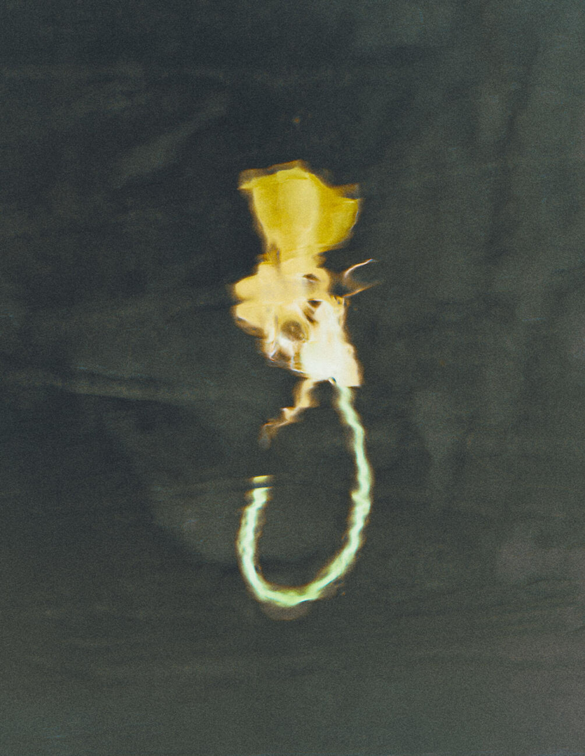 «Цветочная хрупкость» - CO:CREATE 6