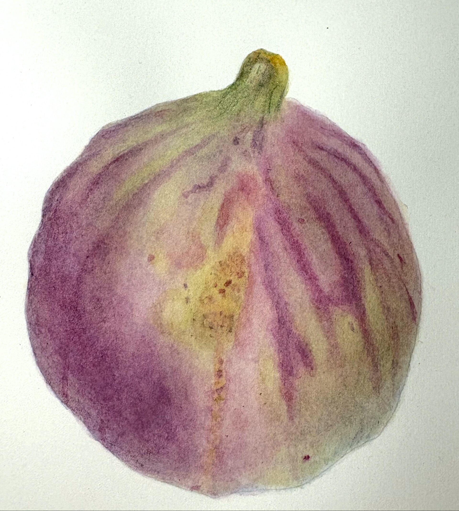 Инжир - CO:CREATE