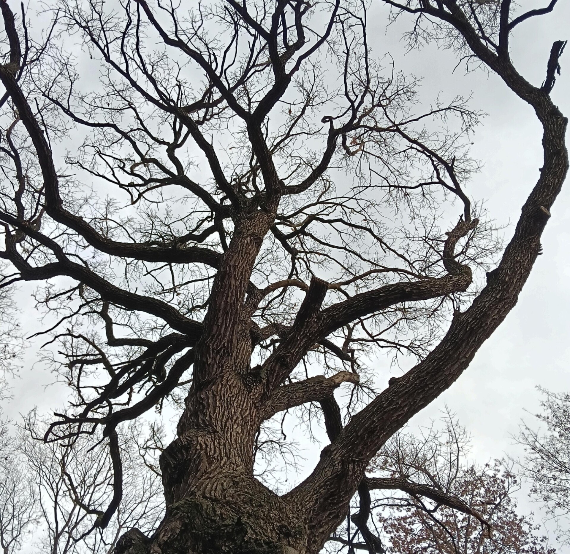 Blacktree - CO:CREATE 1