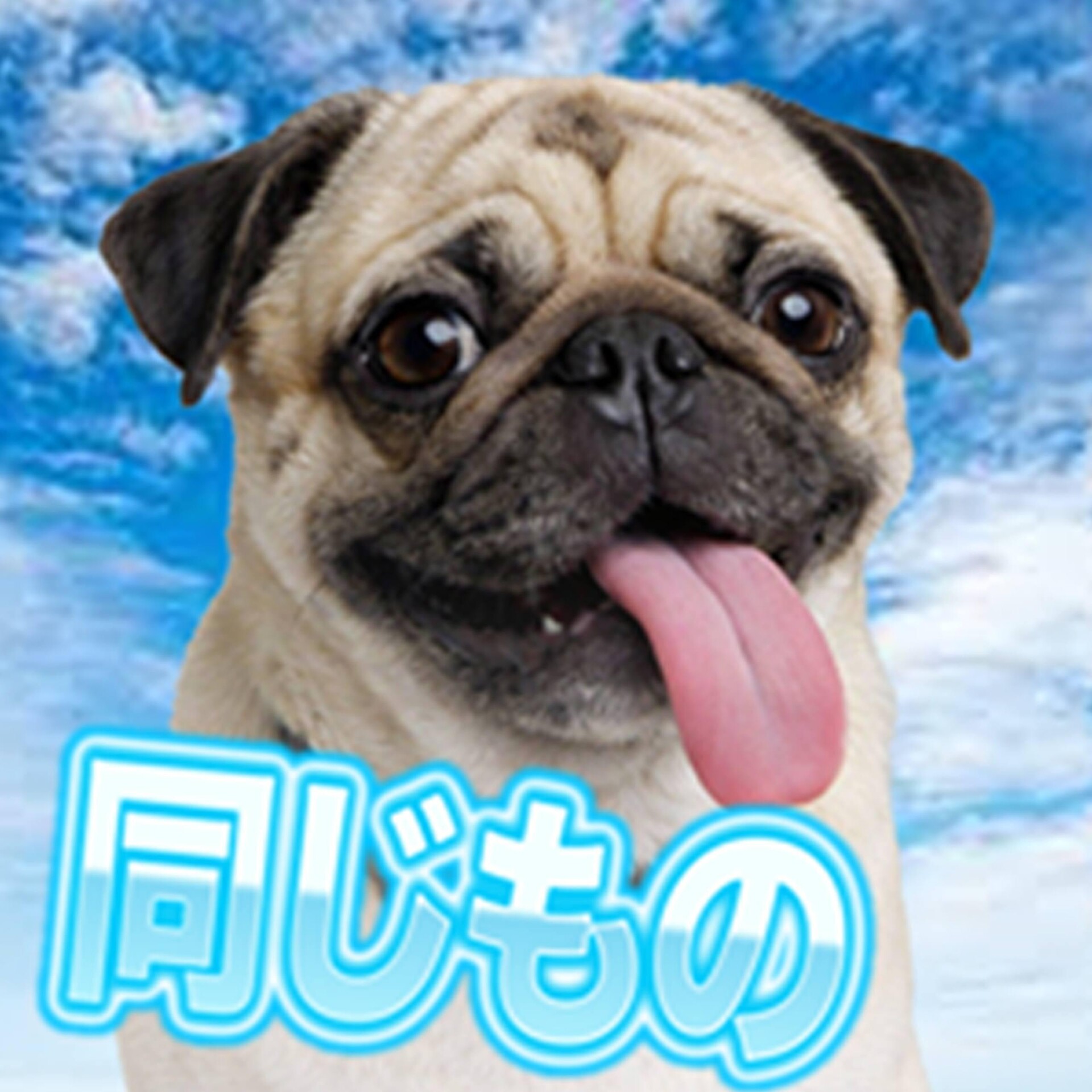 WEBCORE COLLECTION - CO:CREATE