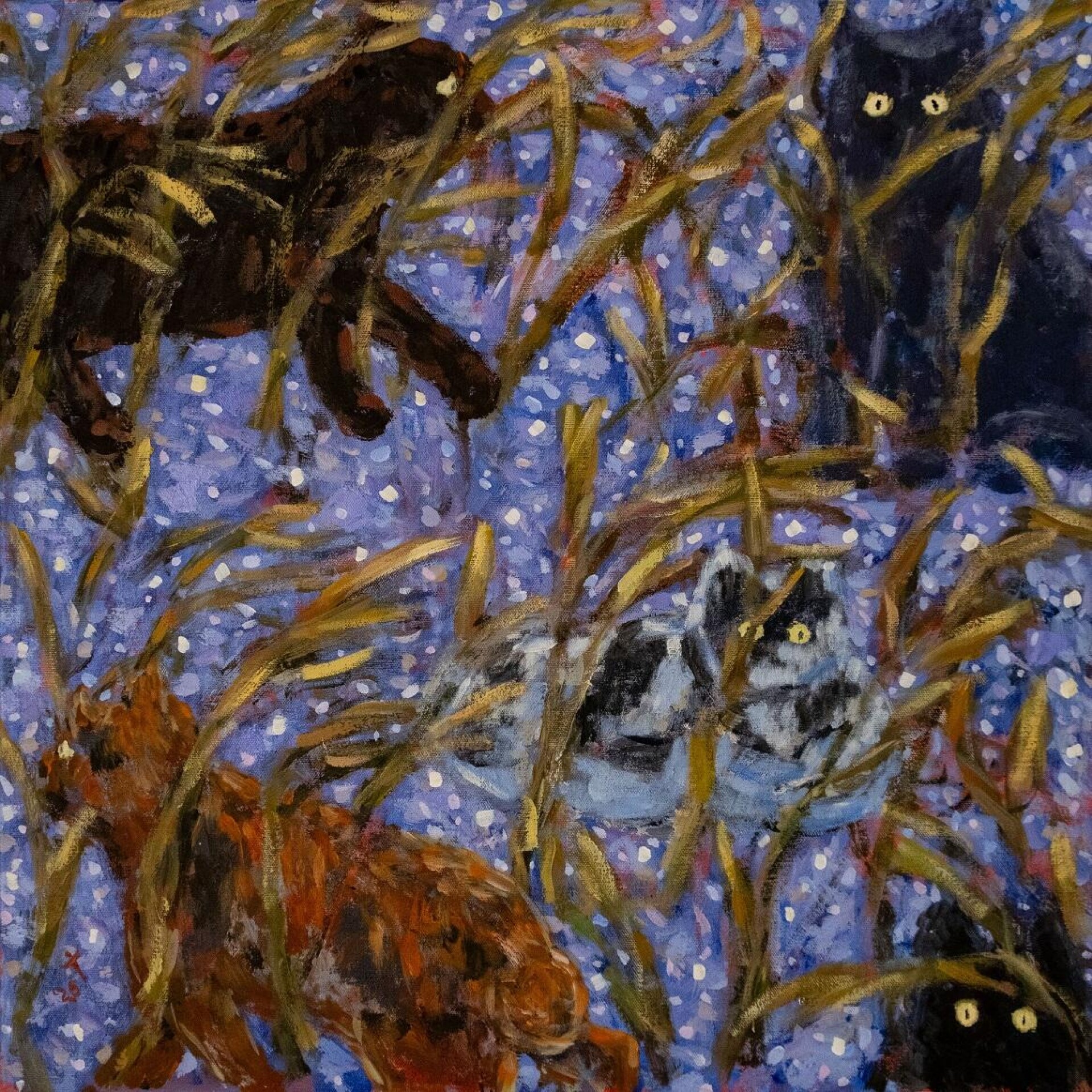 Вечерние огни - CO:CREATE 1