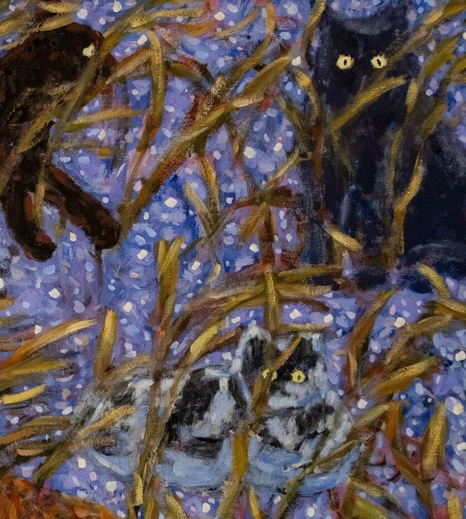 Вечерние огни - CO:CREATE