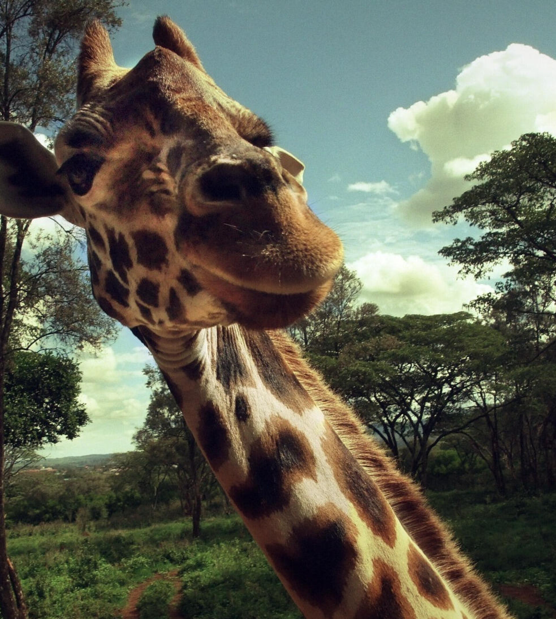 Тест работа 2 - CO:CREATE