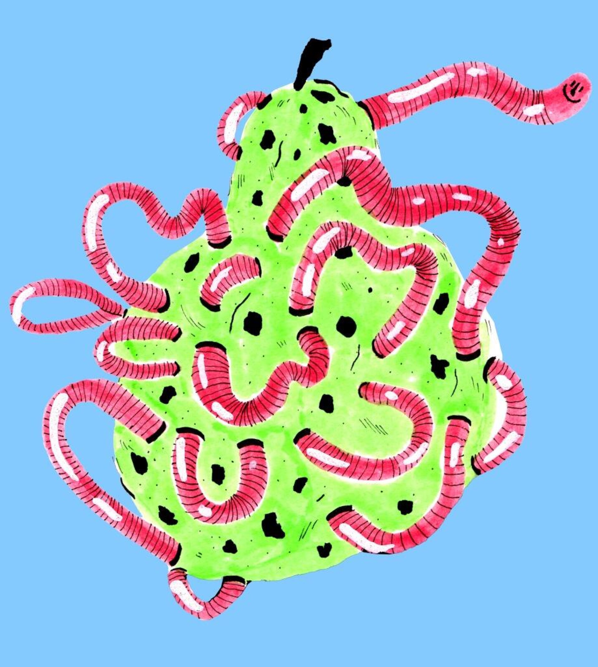 Worm in a pear - CO:CREATE