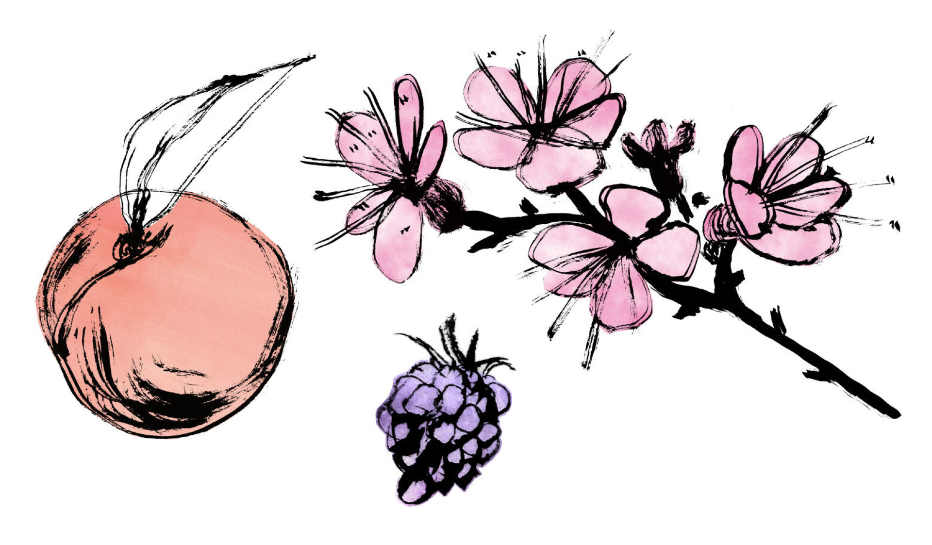 Sakura - CO:CREATE 1